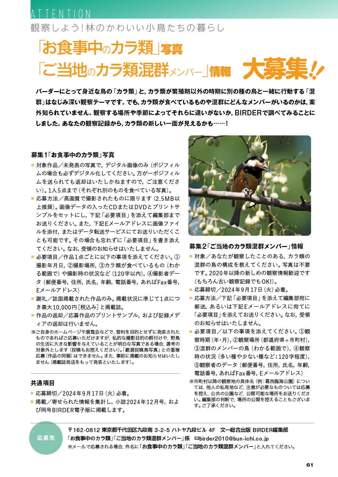 BIRDER9月号の見どころ｜ブンイチ（文一総合出版）