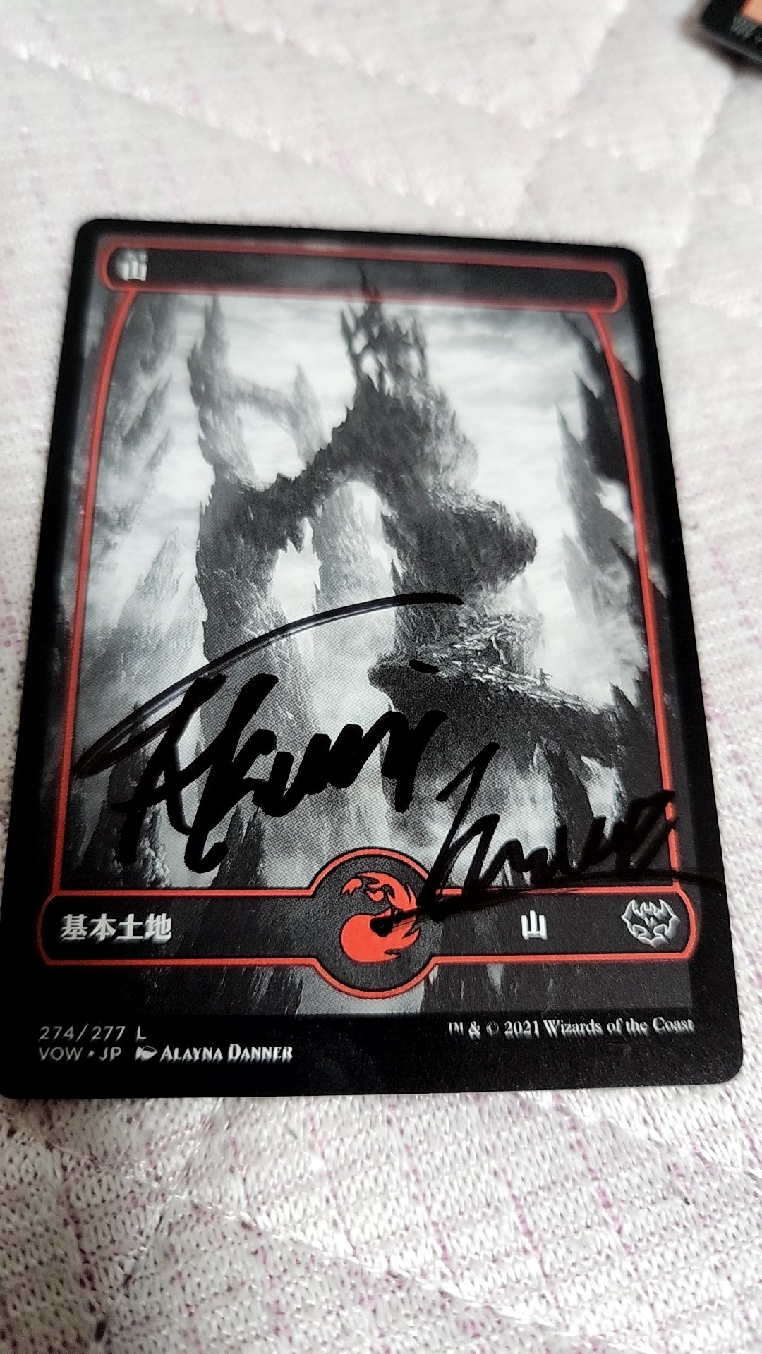 アゾリウスファルコンについて｜ino@イノウエJAPAN