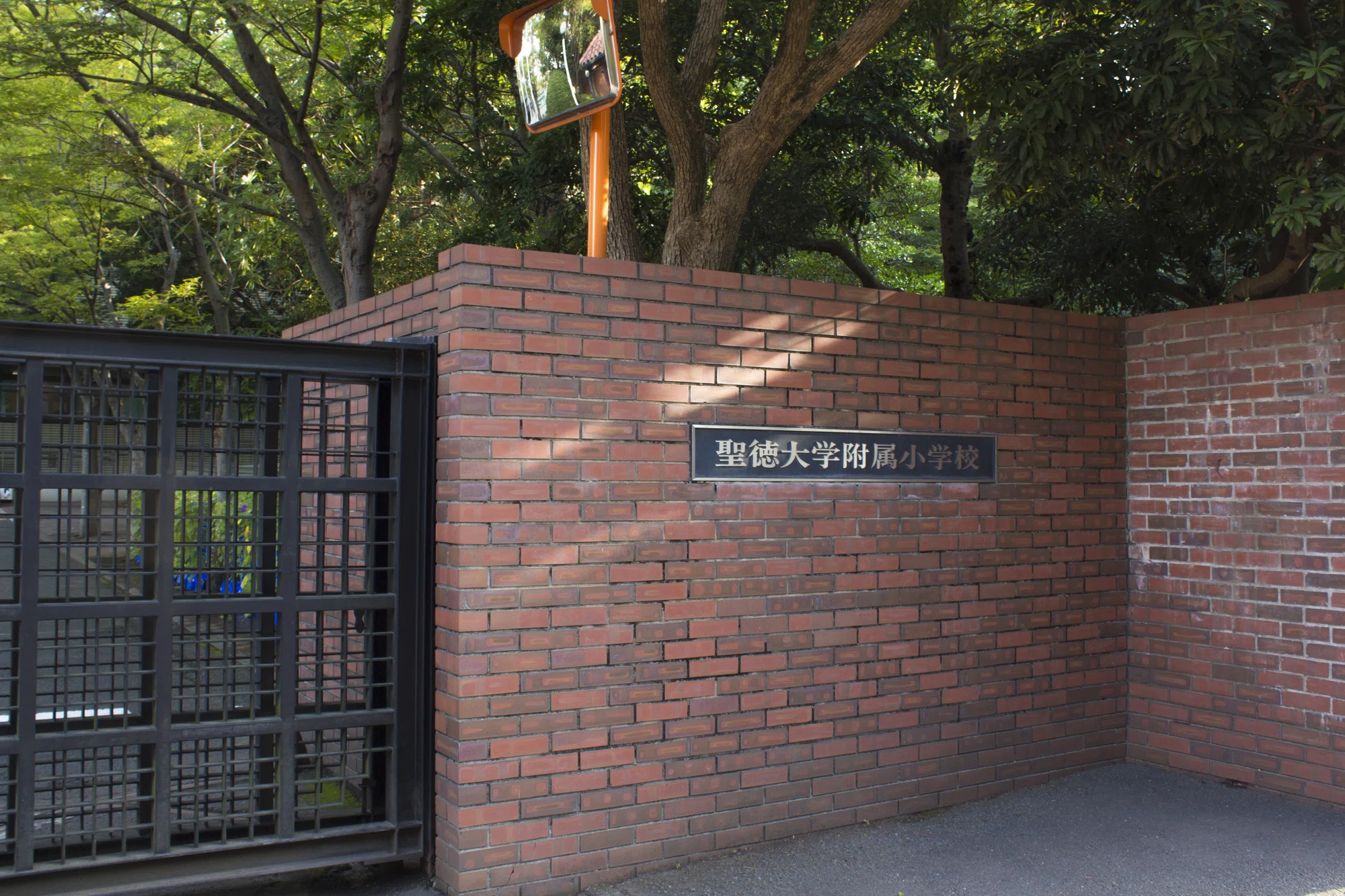 聖徳大学附属小学校】面接対策、面接質問と回答例、そのポイントまとめ 