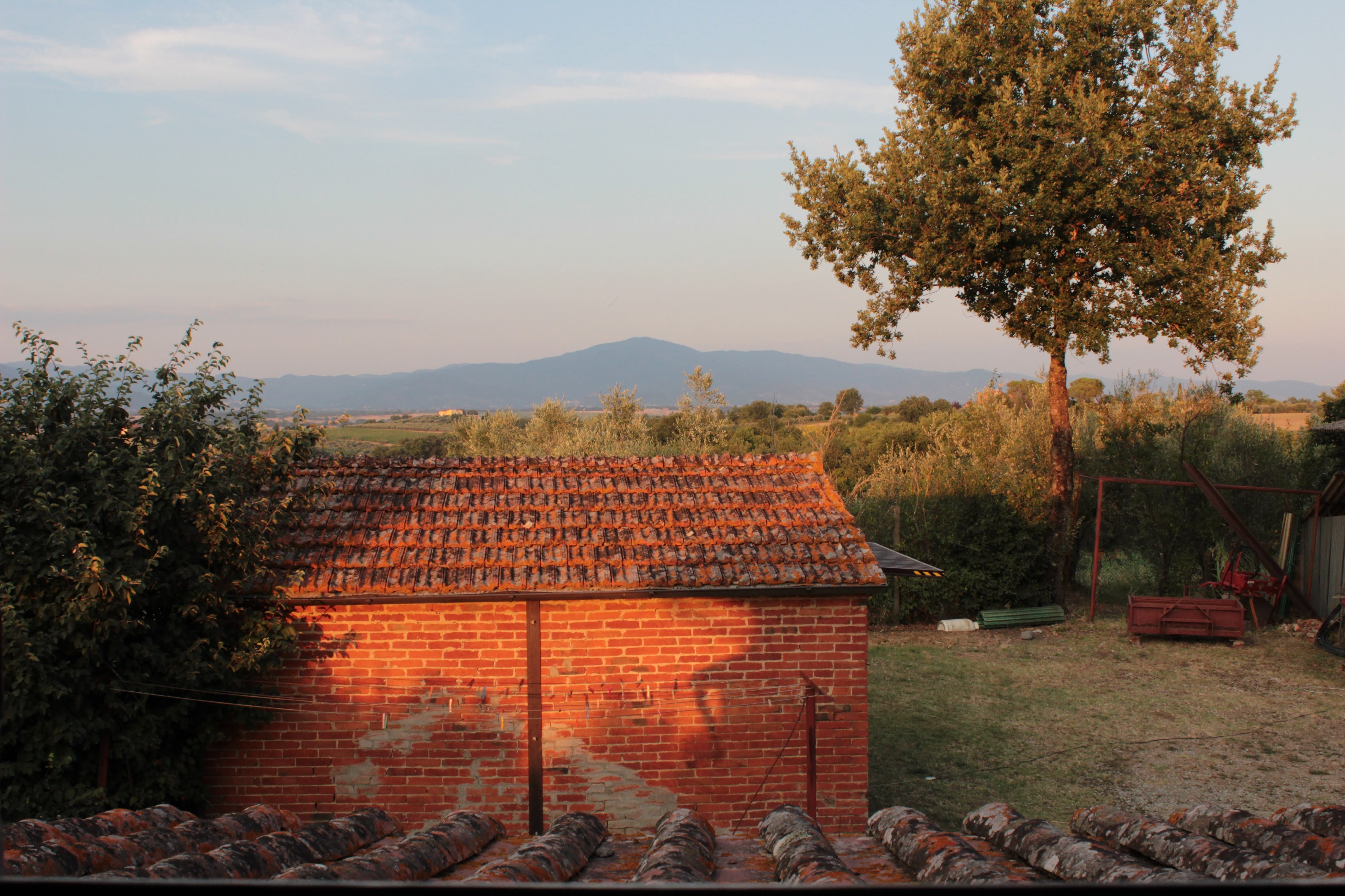 夏のイタリア・トスカーナ 秀明自然農法の圃場で学んだ暮らしの