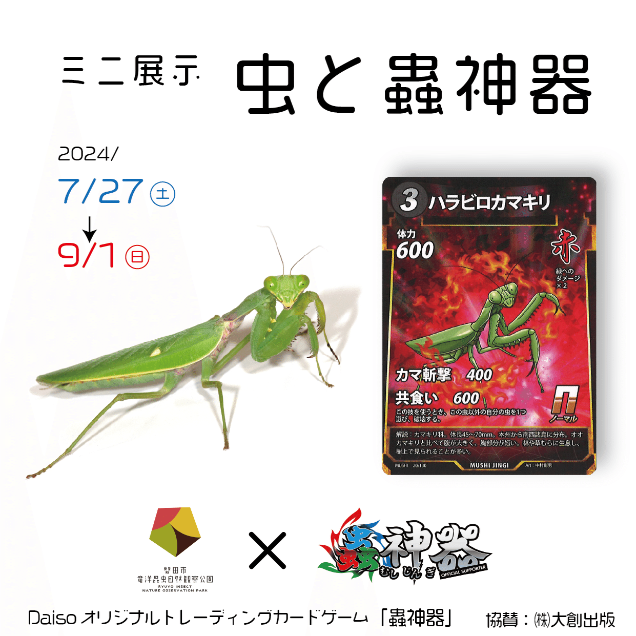 今話題の虫のカードゲーム！｜竜洋昆虫自然観察公園