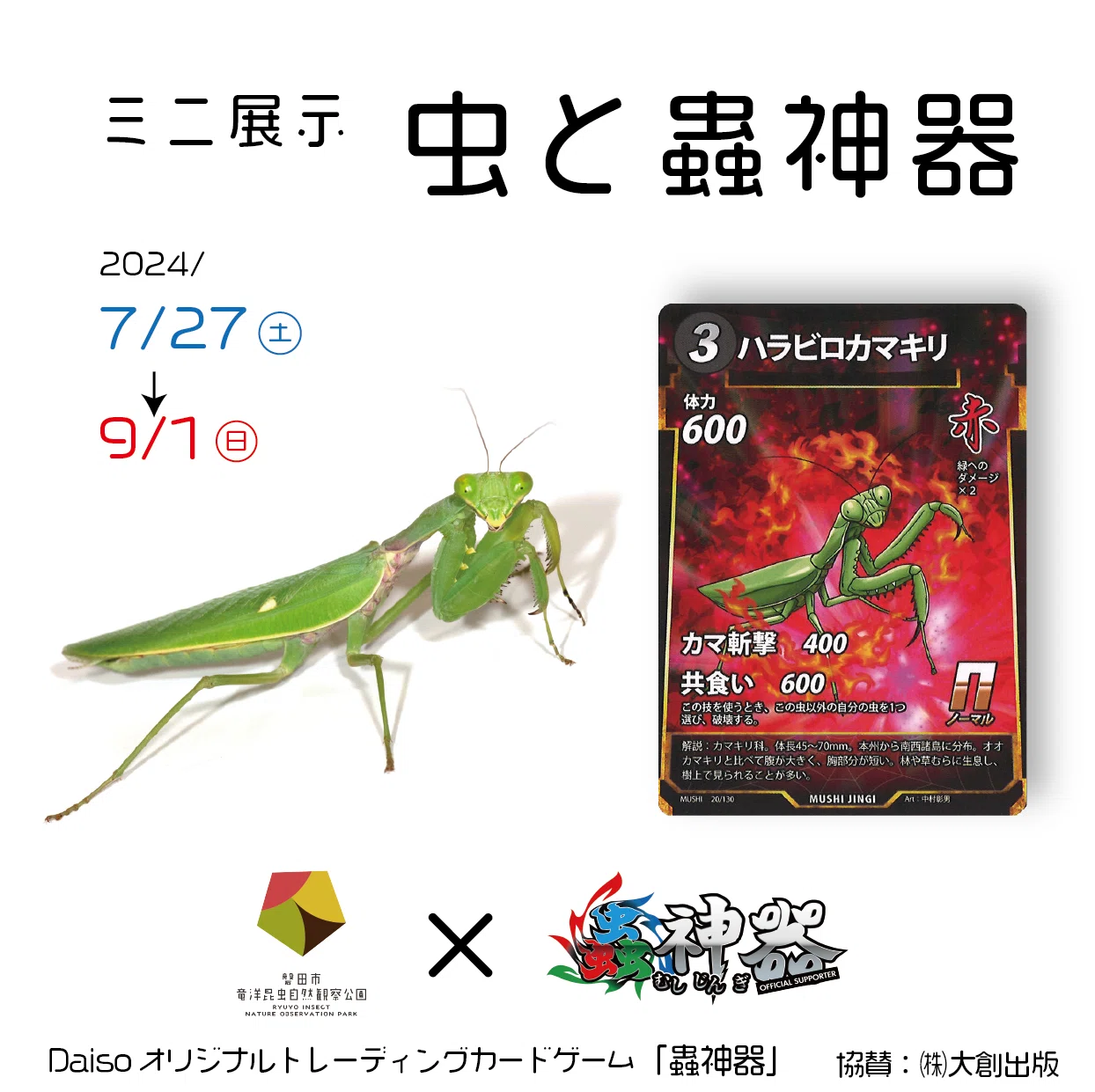 今話題の虫のカードゲーム!|竜洋昆虫自然観察公園 今話題の虫のカードゲーム!|竜洋昆虫自然観察公園