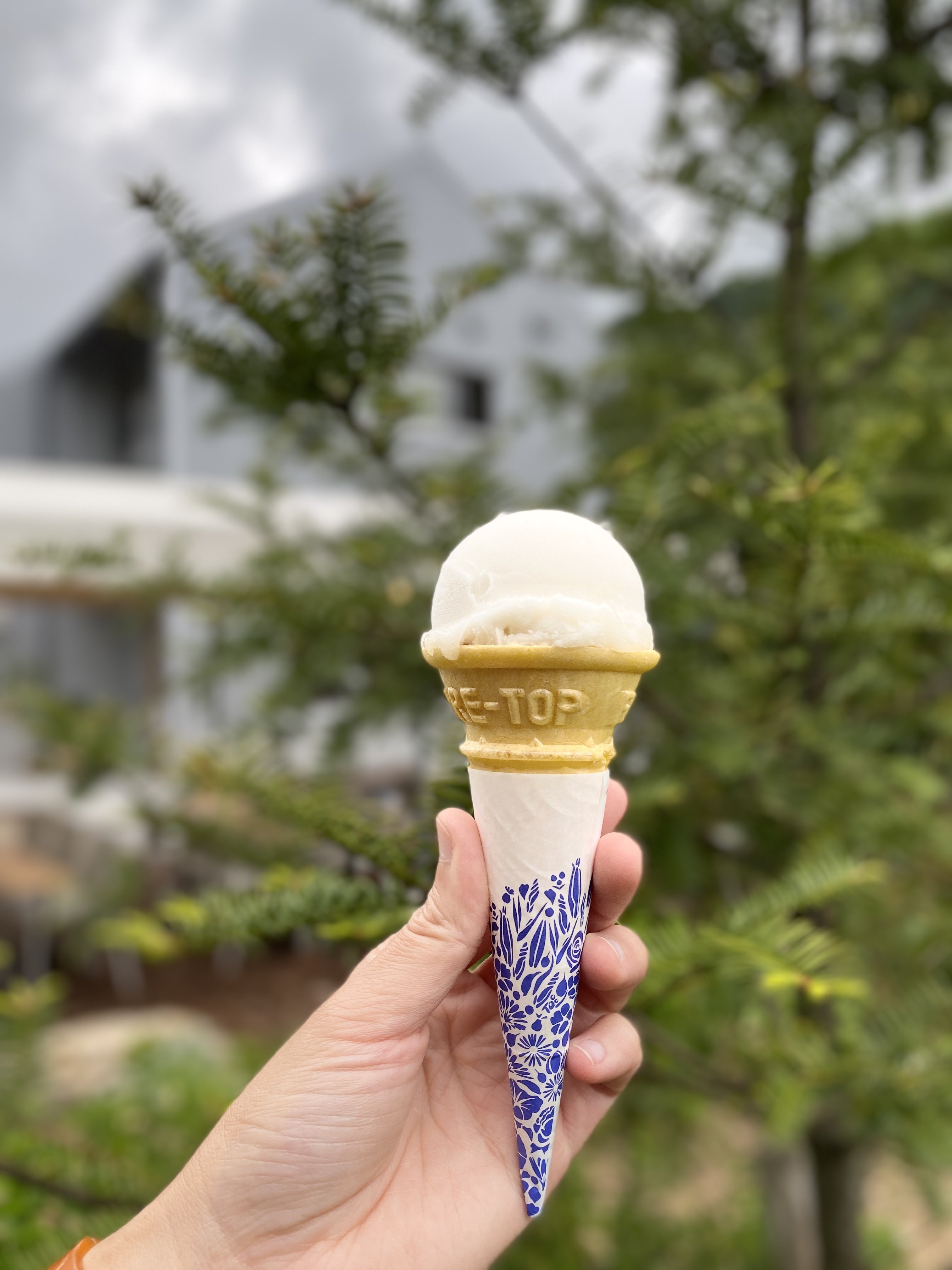 山田店長おススメのジェラート｜Kochi Campagne Brewery@TOSACO