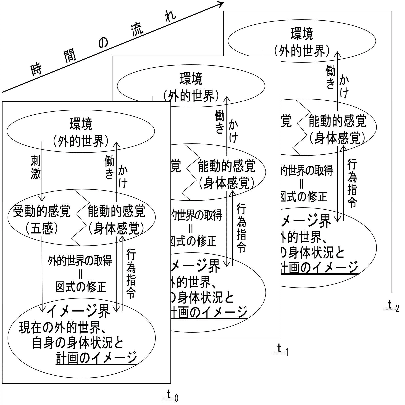 感覚を知識へ「定常重心論」　3枚組 感覚を知識へ「定常重心論」 3枚組 - メルカリ