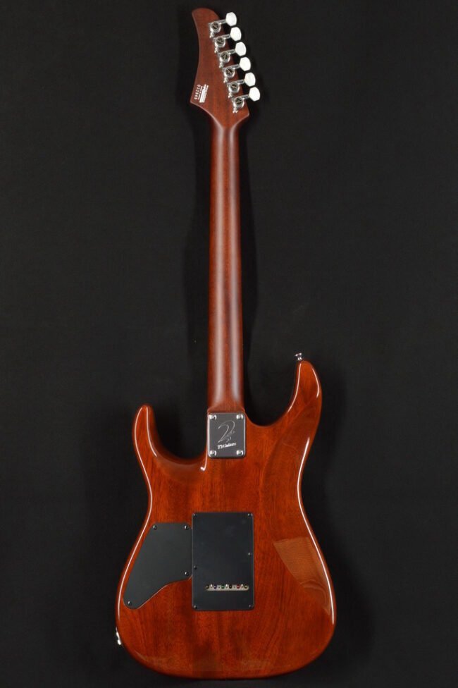 機材紹介Part1 T's Guitars DST-Pro24|Yun 機材紹介Part1 T's Guitars DST-Pro24|Yun