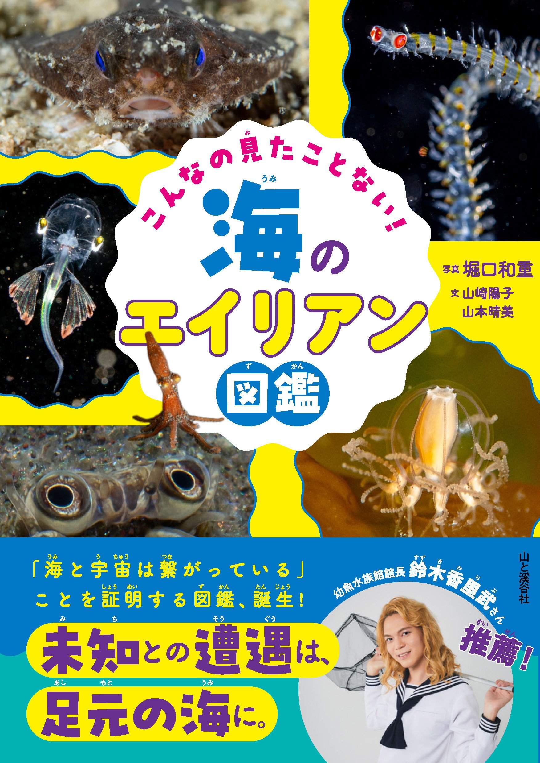 沖縄海中生物図鑑 全11巻 セット 【公式通販】