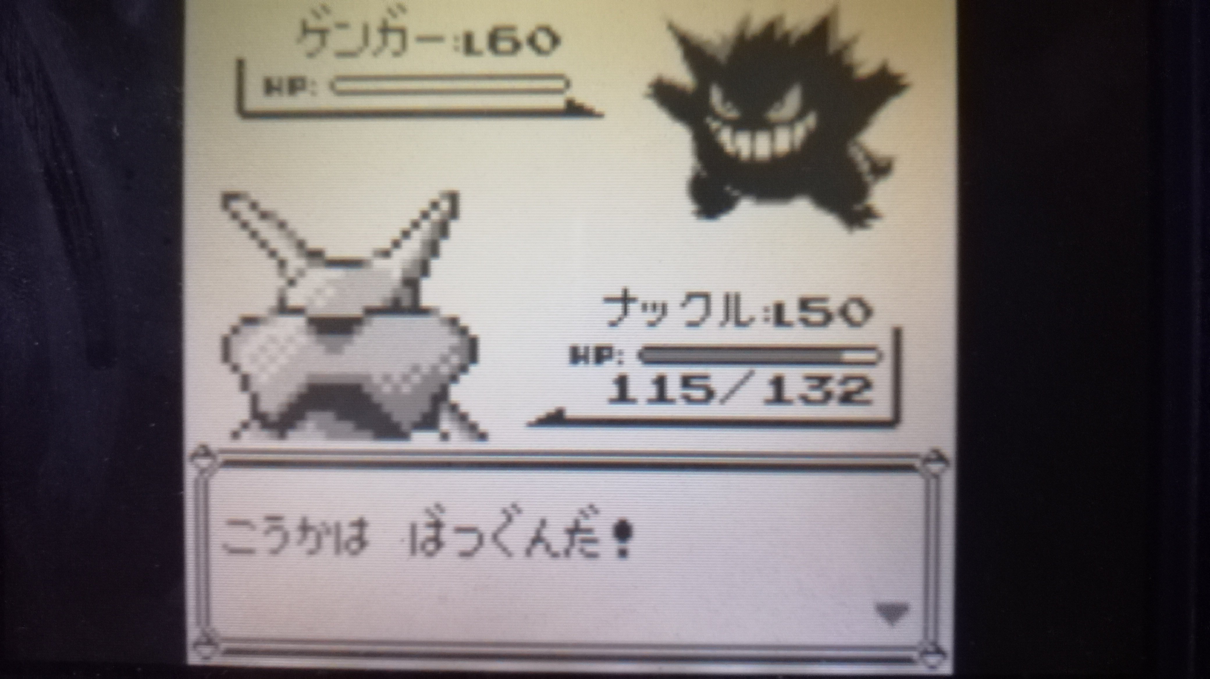ポケモン全国行脚の旅日記 ピカチュウ版＃10(終)｜瀧