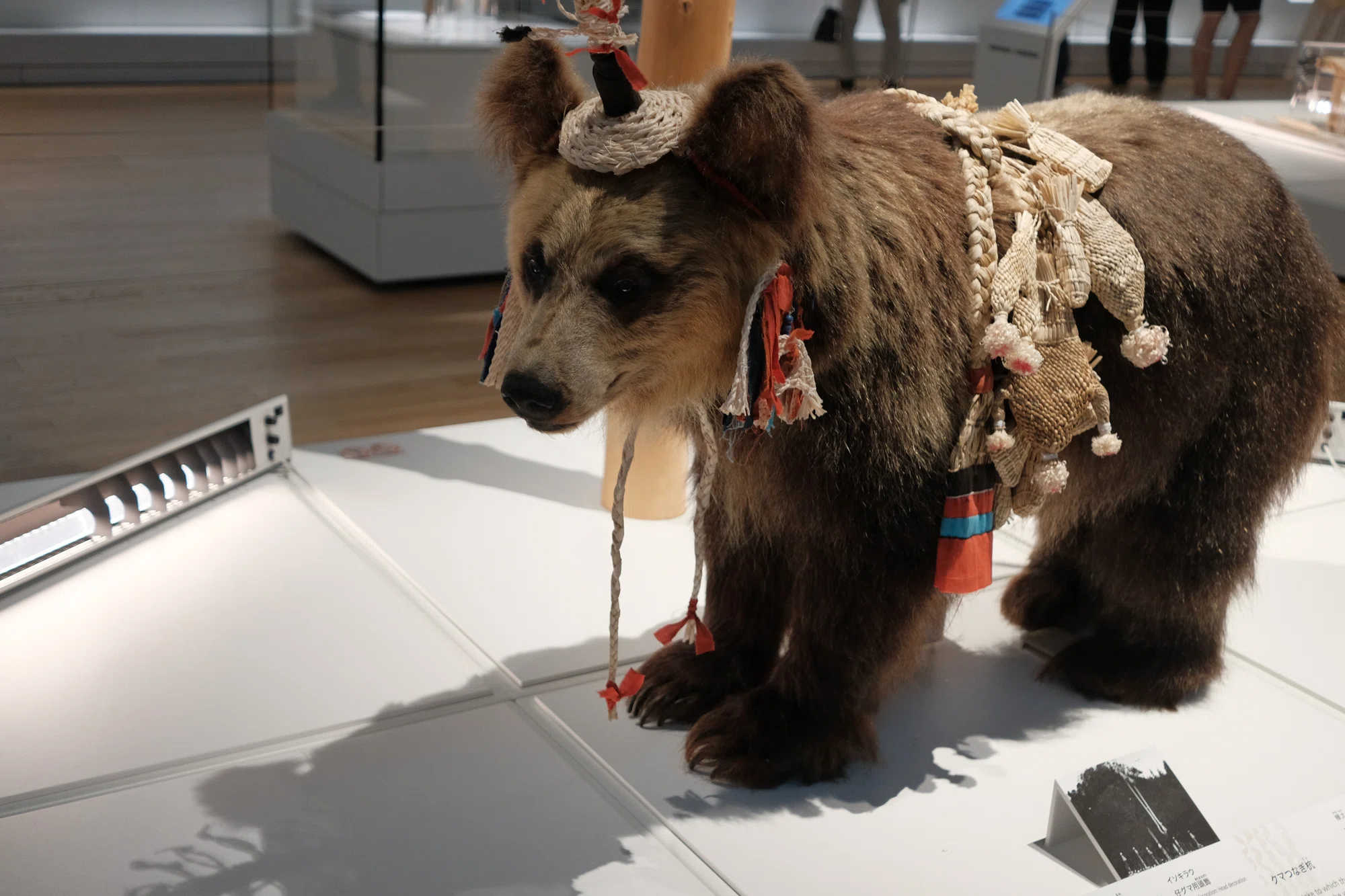 北海道遺産シリーズ（28）～アイヌ文様とウポポイ（民族共生象徴空間
