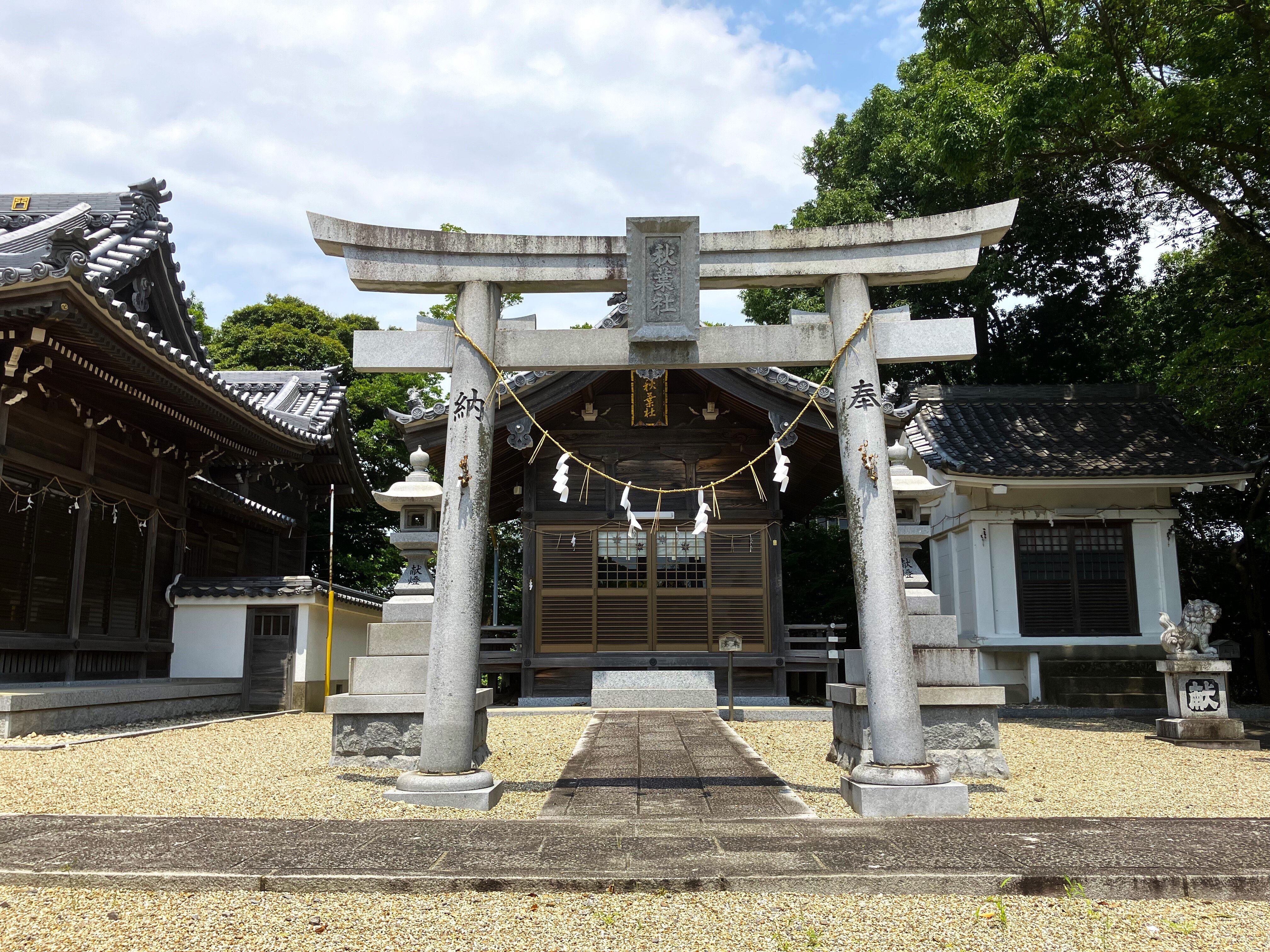 日本の神々―神社と聖地〈10〉東海 日本の神々―神社と聖地 第10巻 東海(谷川健一) / 古本、中古本