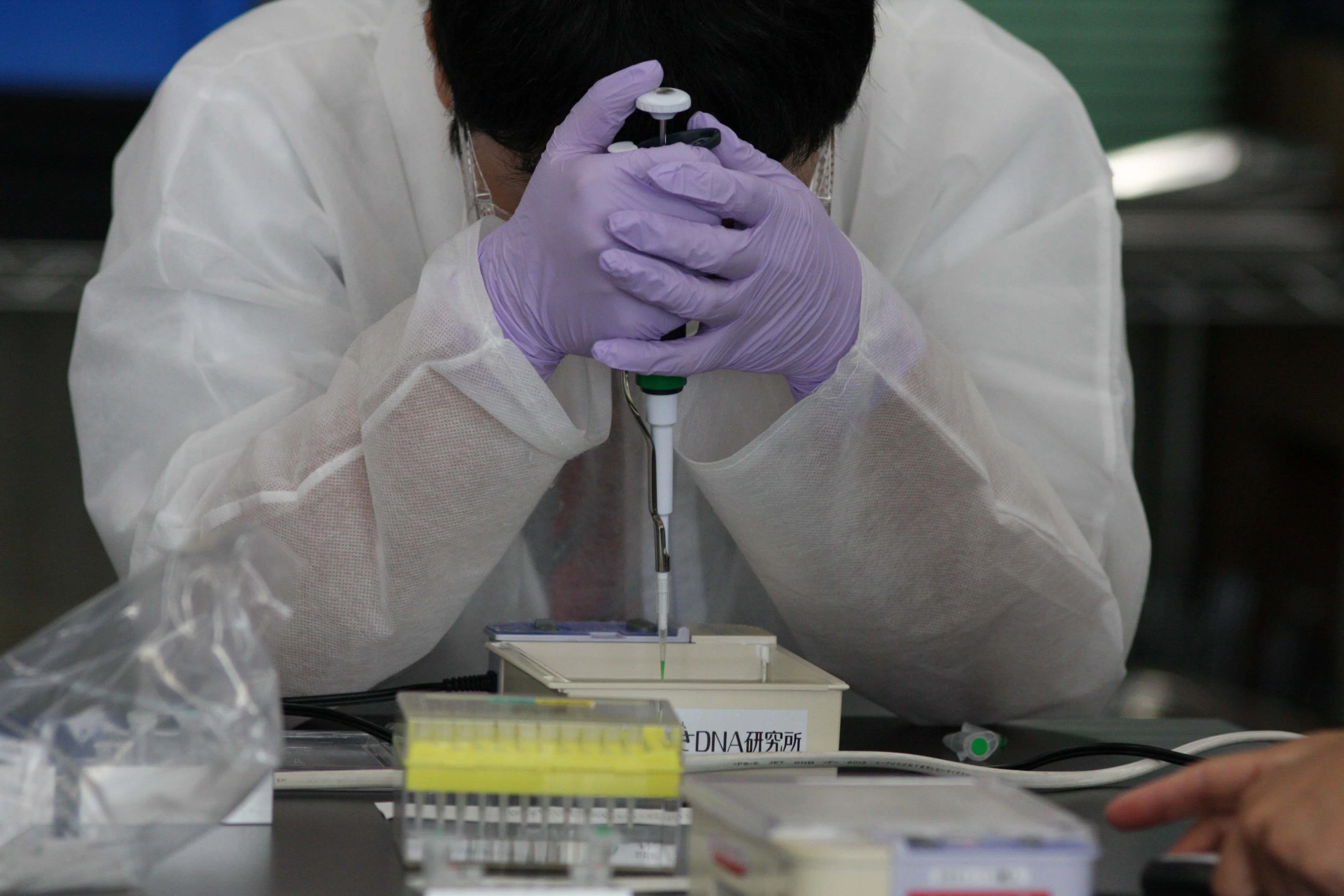 SSH 分子生物学実験で遺伝子診断｜福島県立会津学鳳中学校・高等学校