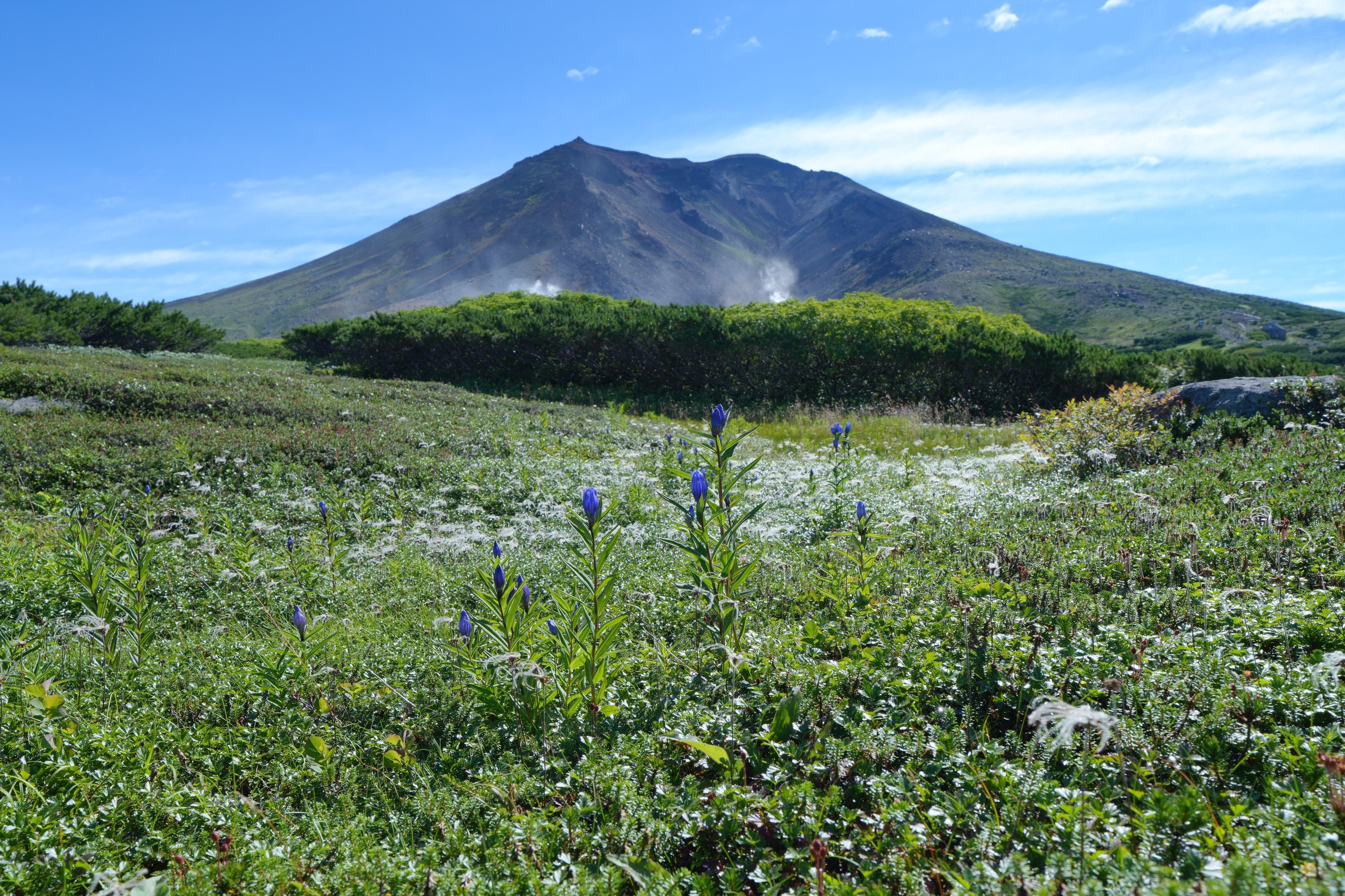 お盆　１０枚　山と海の風景 お盆 10枚 山と海の風景