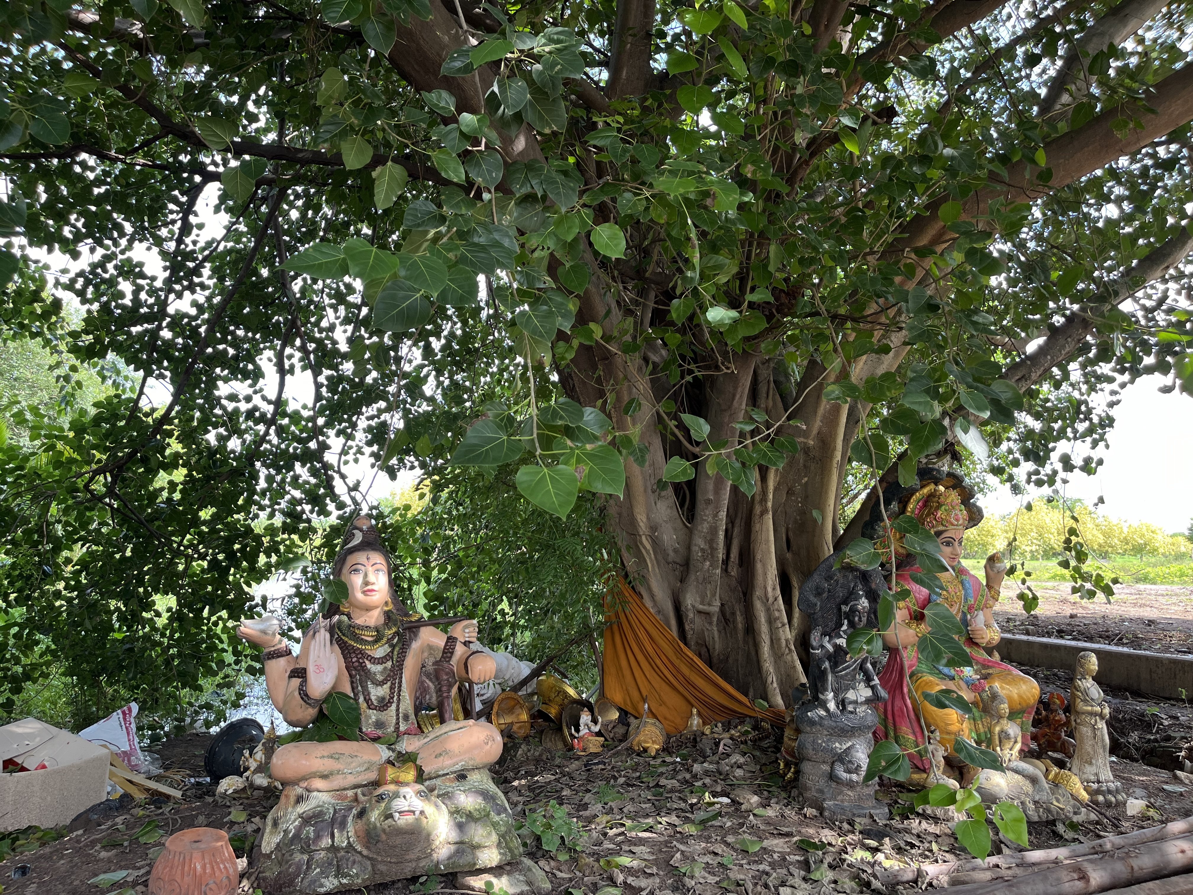 タイのお寺 バンコク以外もご紹介＃3、Wat Phrong Akat 2つ目のピンク