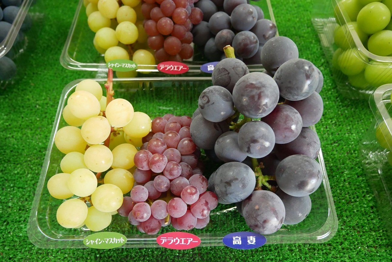 シリーズ】街角をゆく Vol.11 柏原 （大阪府柏原市）｜エネルギー