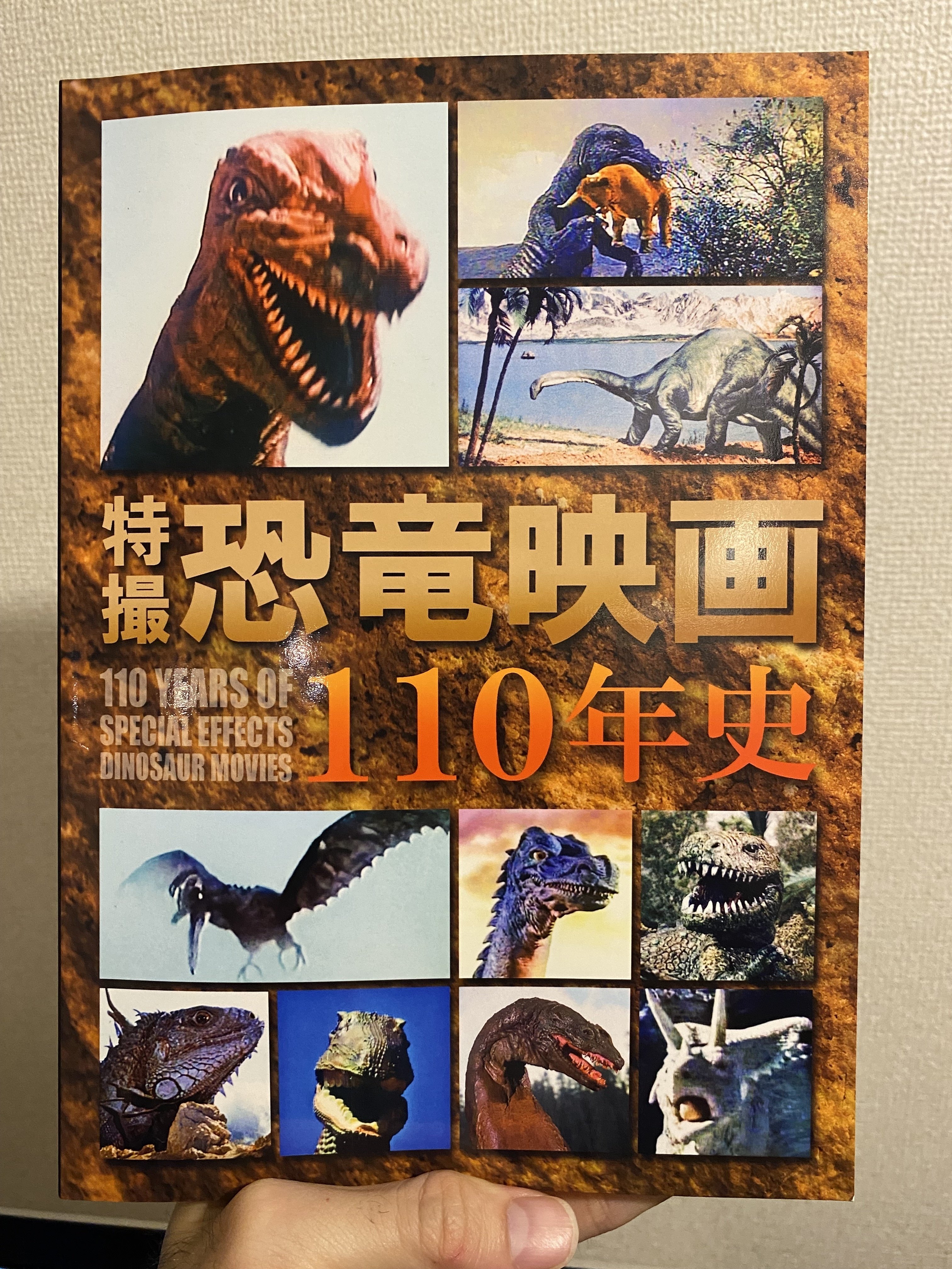 【最終値下】 2013年 資料性博覧会ポスターブック panpanya 漫画家 最終値下】 2013年 資料性博覧会ポスターブック panpanya 漫画家