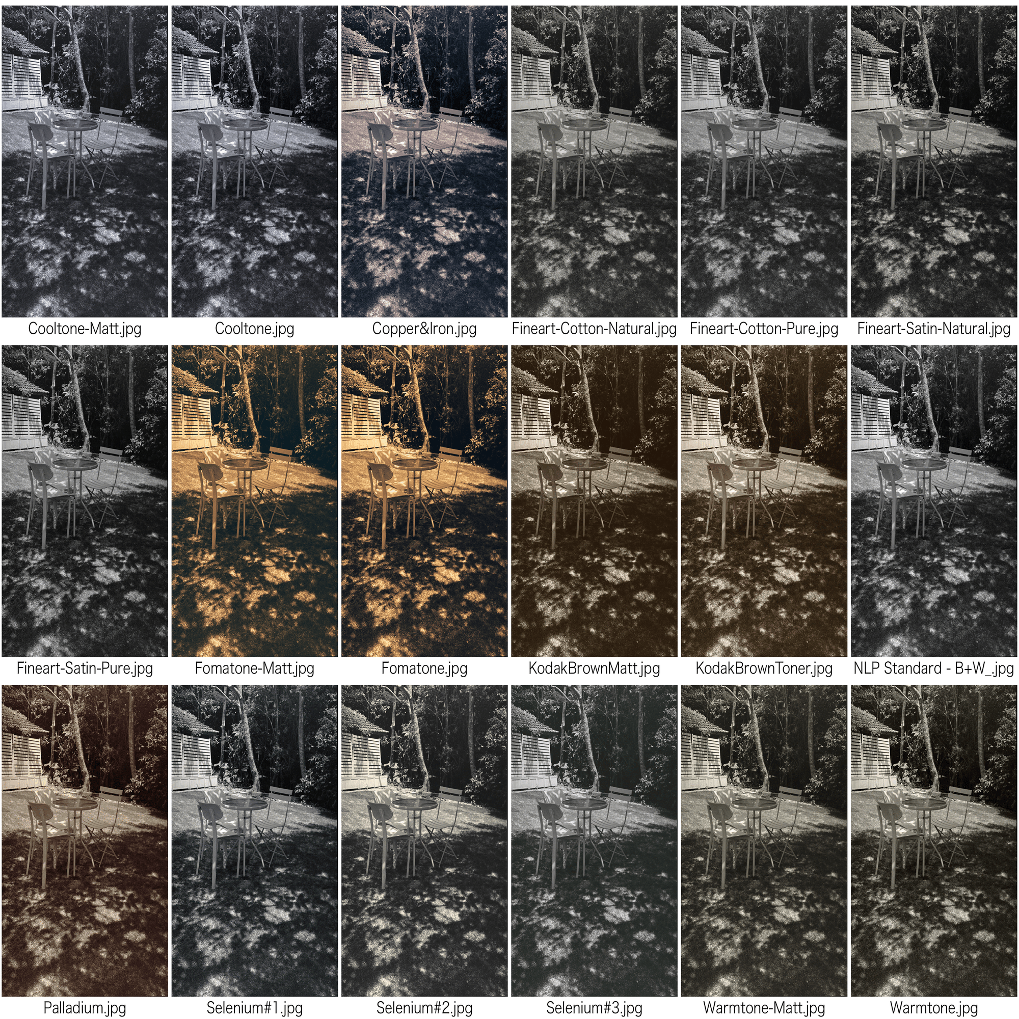 Negative Lab Proのプリセット：モノクロ写真向け全プリセットを試して