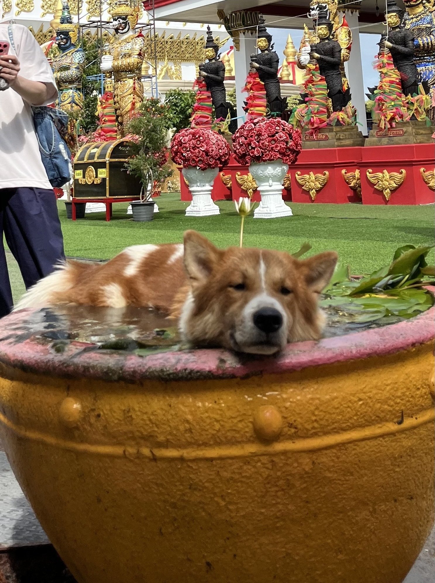 タイのお寺 バンコク以外もご紹介＃3、Wat Phrong Akat 2つ目のピンク