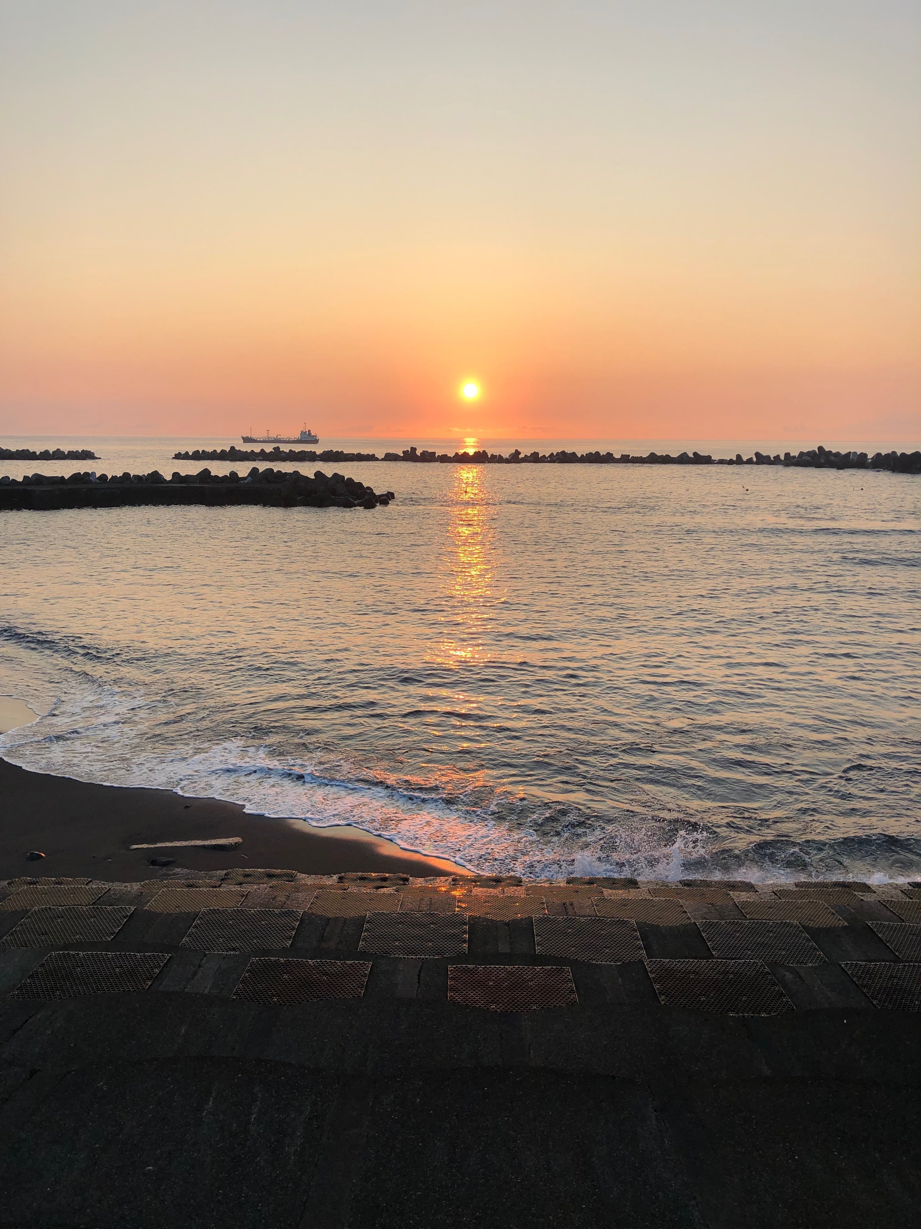 はじめての青ヶ島へ(3)（8/13 青ヶ島）｜カキガラチョウの松