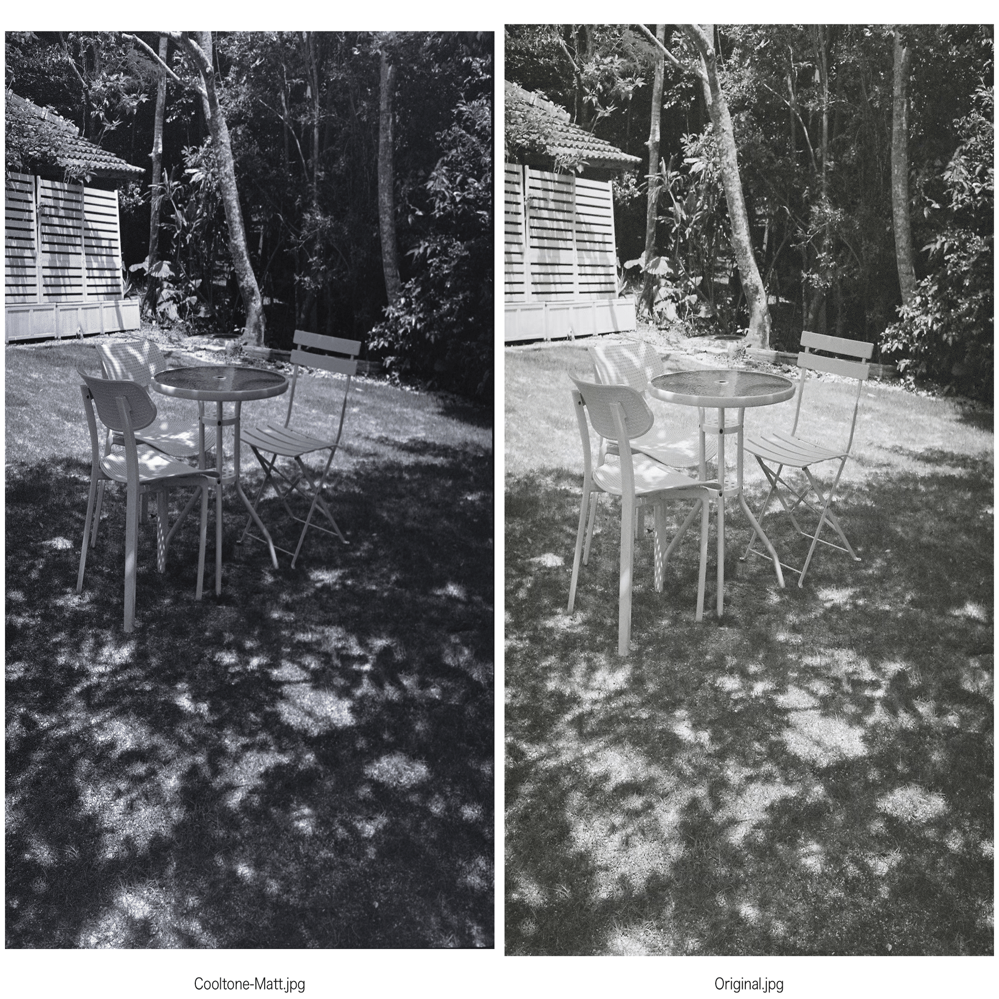 Negative Lab Proのプリセット：モノクロ写真向け全プリセットを試して