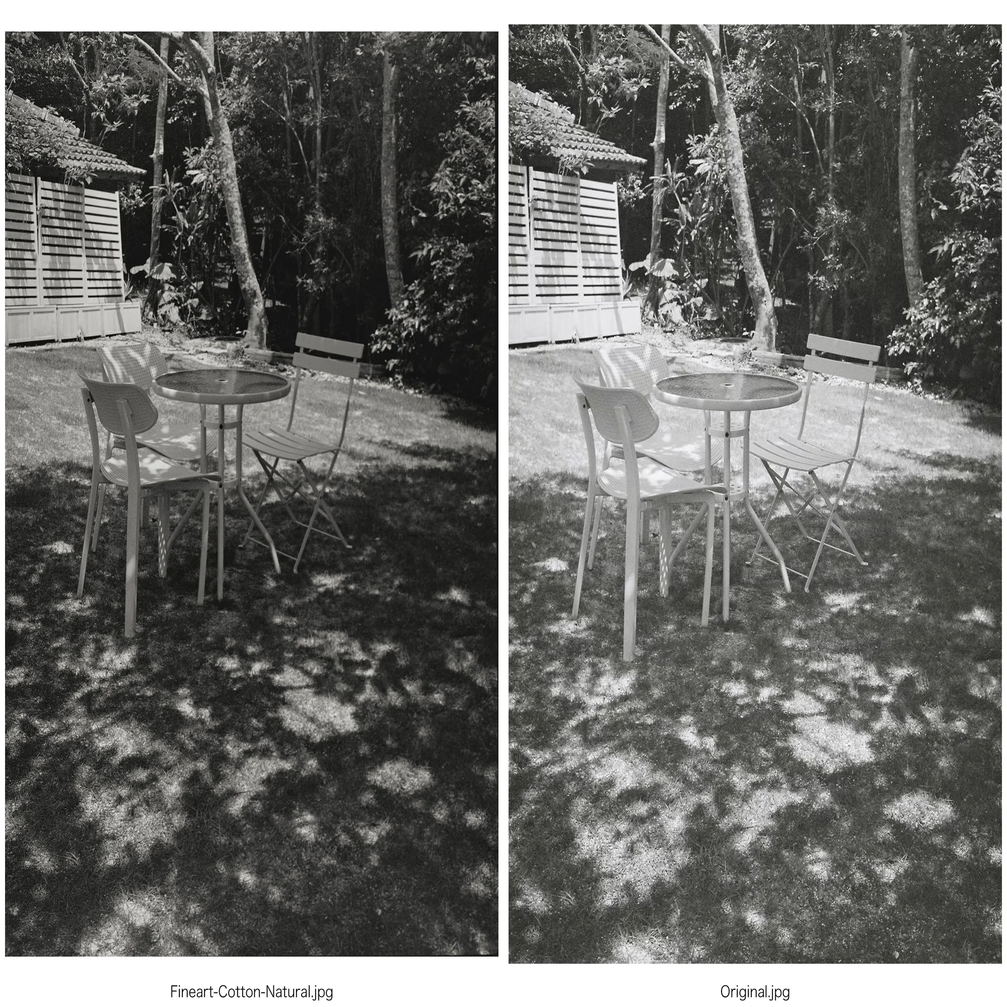 Negative Lab Proのプリセット：モノクロ写真向け全プリセットを試して