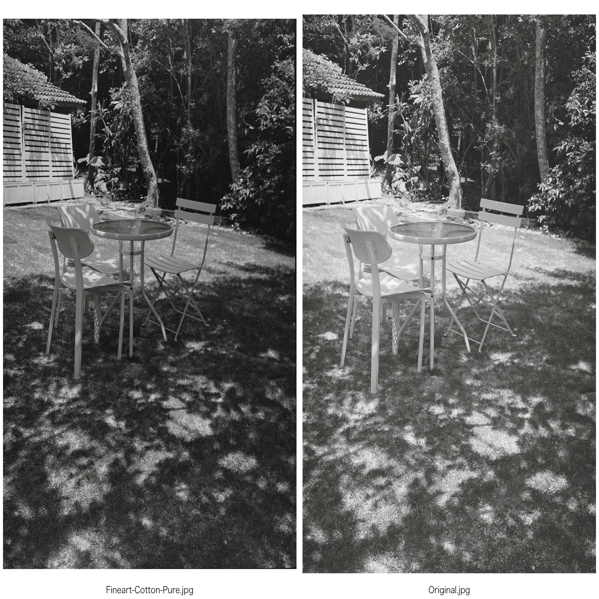 Negative Lab Proのプリセット：モノクロ写真向け全プリセットを試して