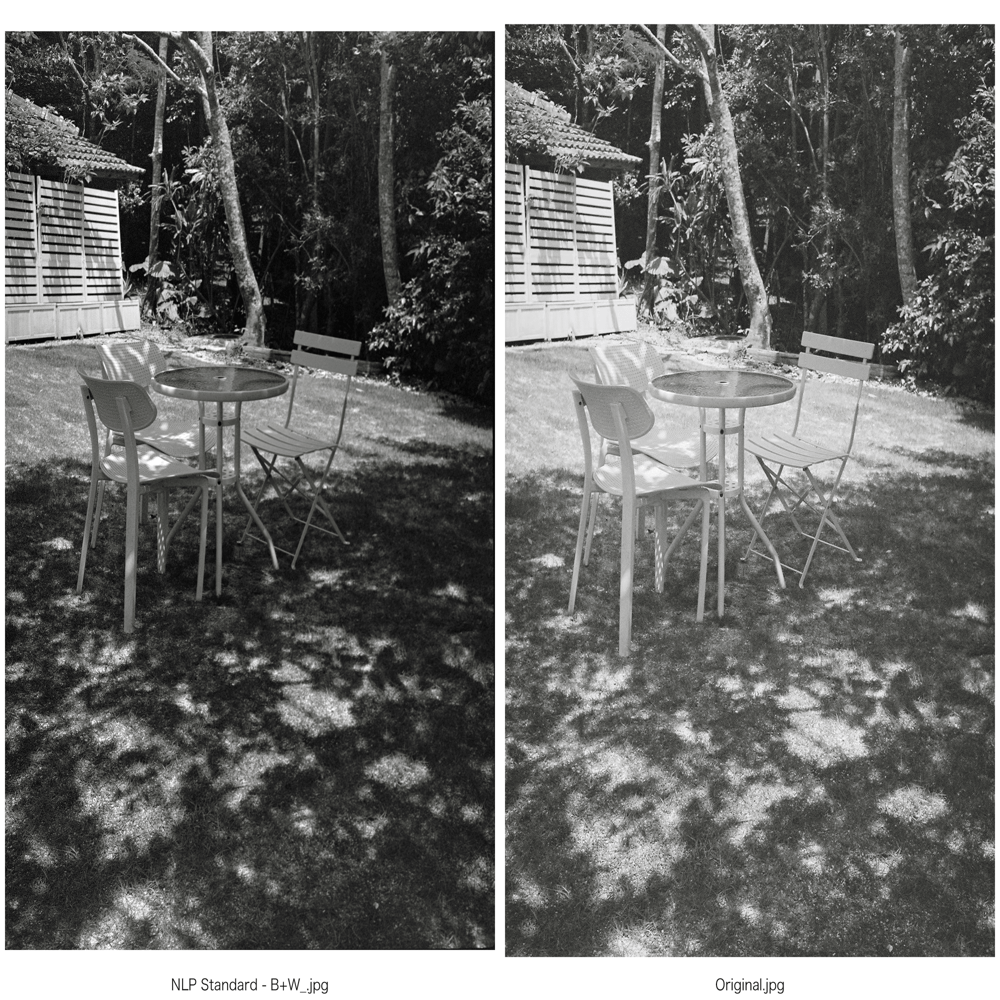 Negative Lab Proのプリセット：モノクロ写真向け全プリセットを試して