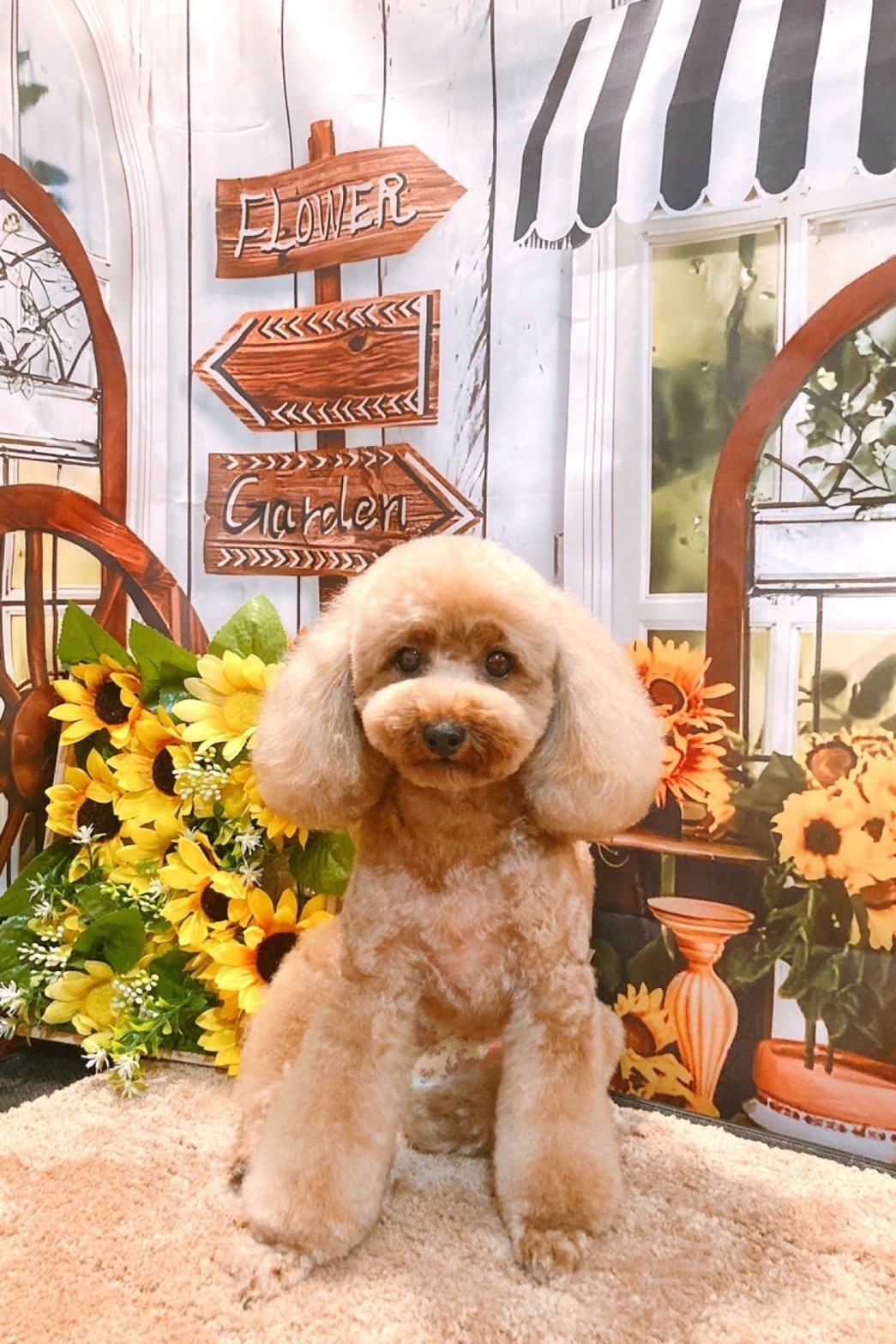 赤✖️金　天皇菊　反物　ポリエステル100% Vintage｜BERTRAM DUDLEY｜Cycling Jacket | セレクトショップ