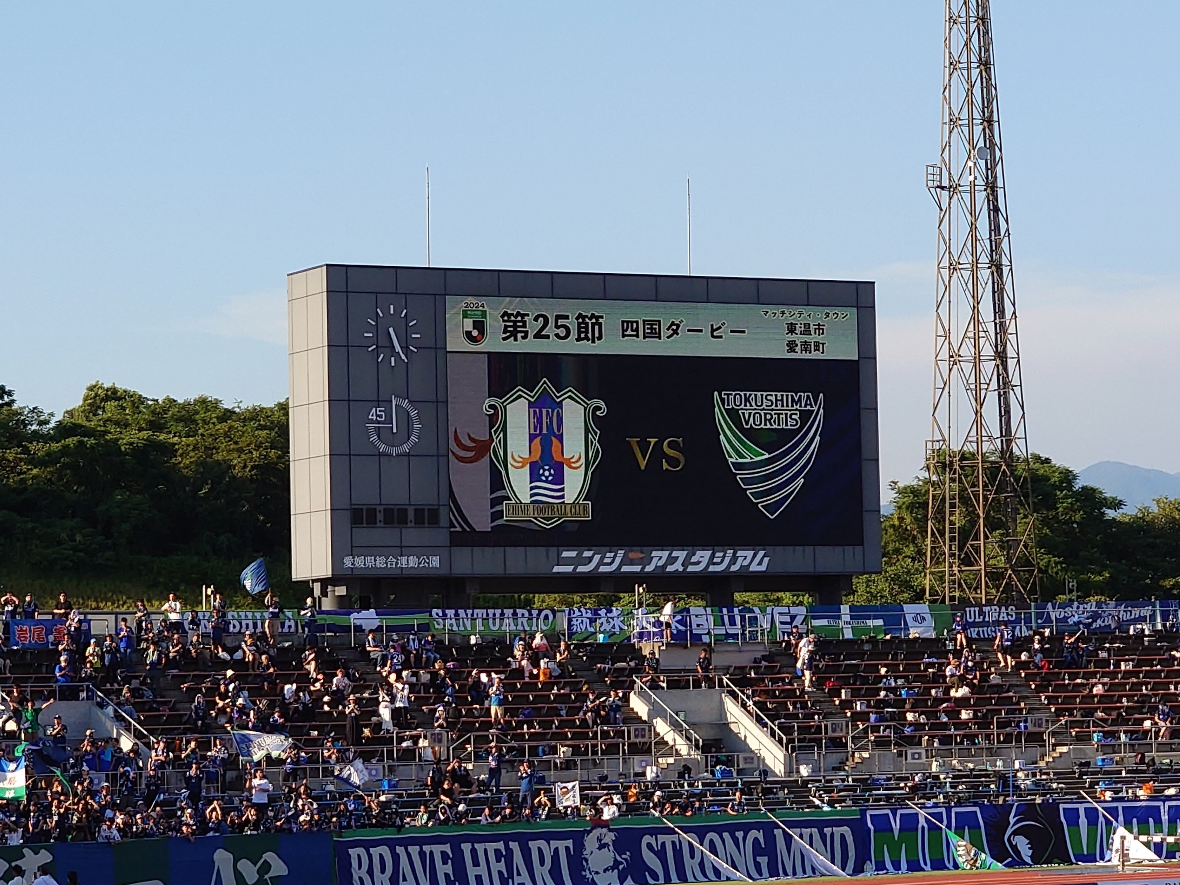 徳島ボルティスビッグフラッグ 【公式通販】