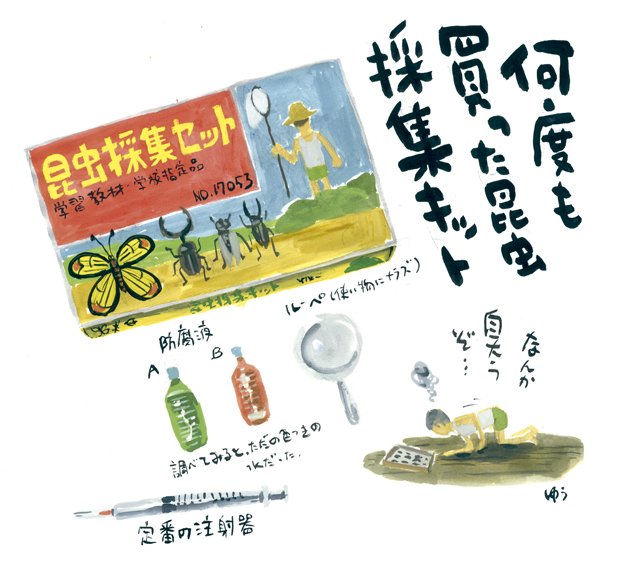 懐かしの駄菓子屋昆虫採集キット｜Yu Morio もりおゆう