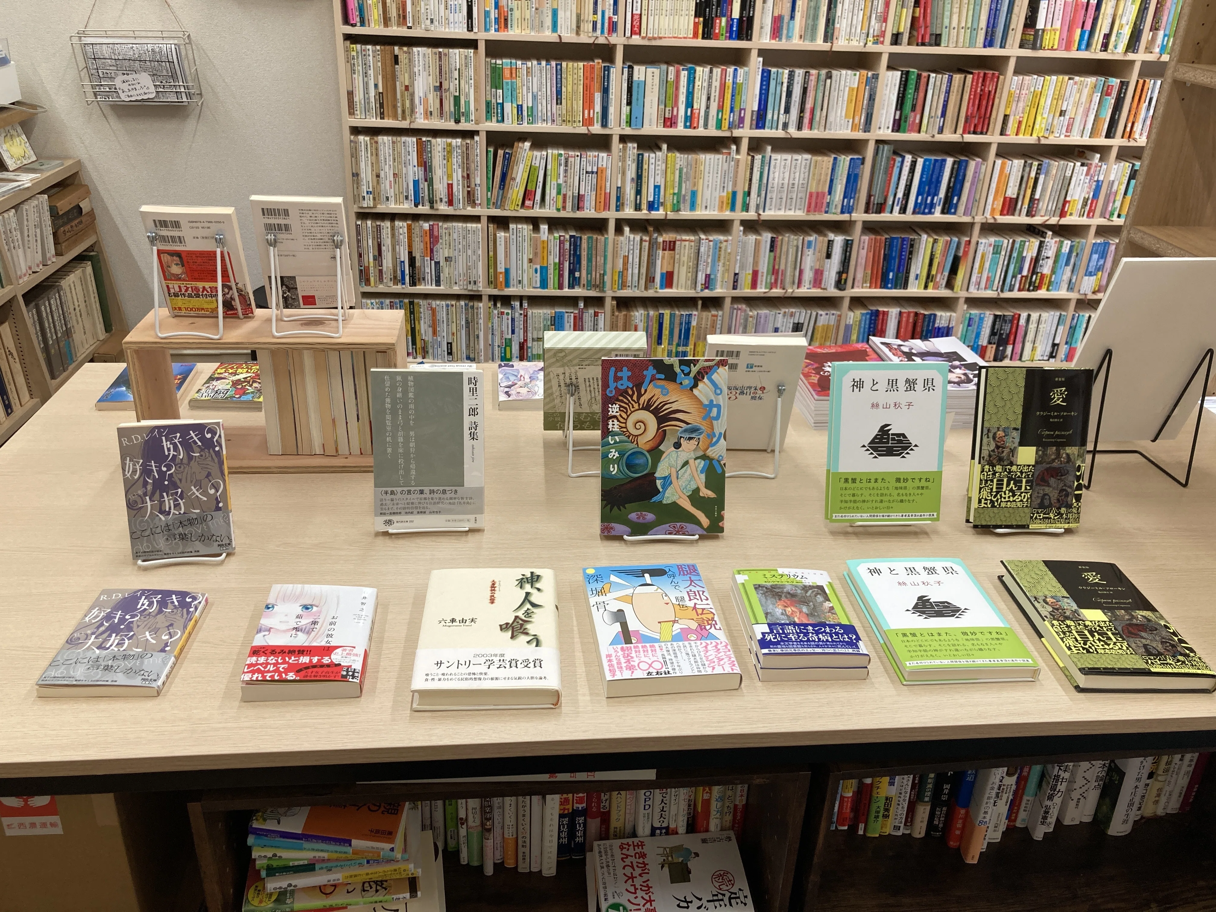 奇書が読みたいアライさんが選んだ変な本 2024｜ゆとぴやぶっくす