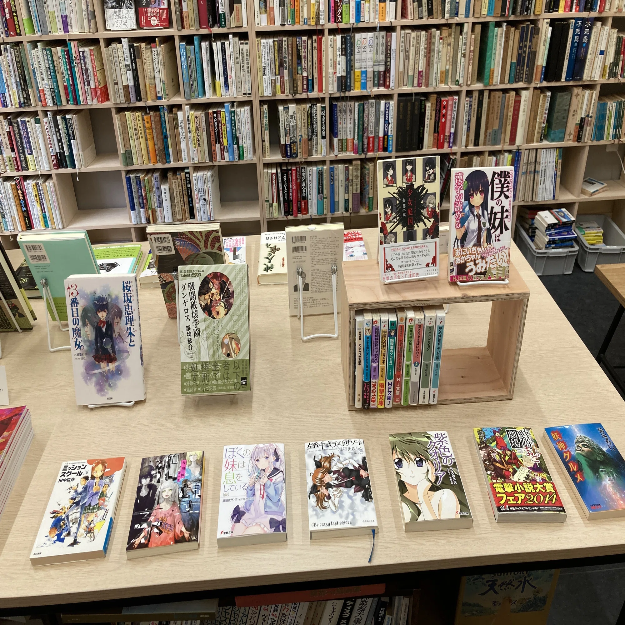 奇書が読みたいアライさんが選んだ変な本 2024｜ゆとぴやぶっくす