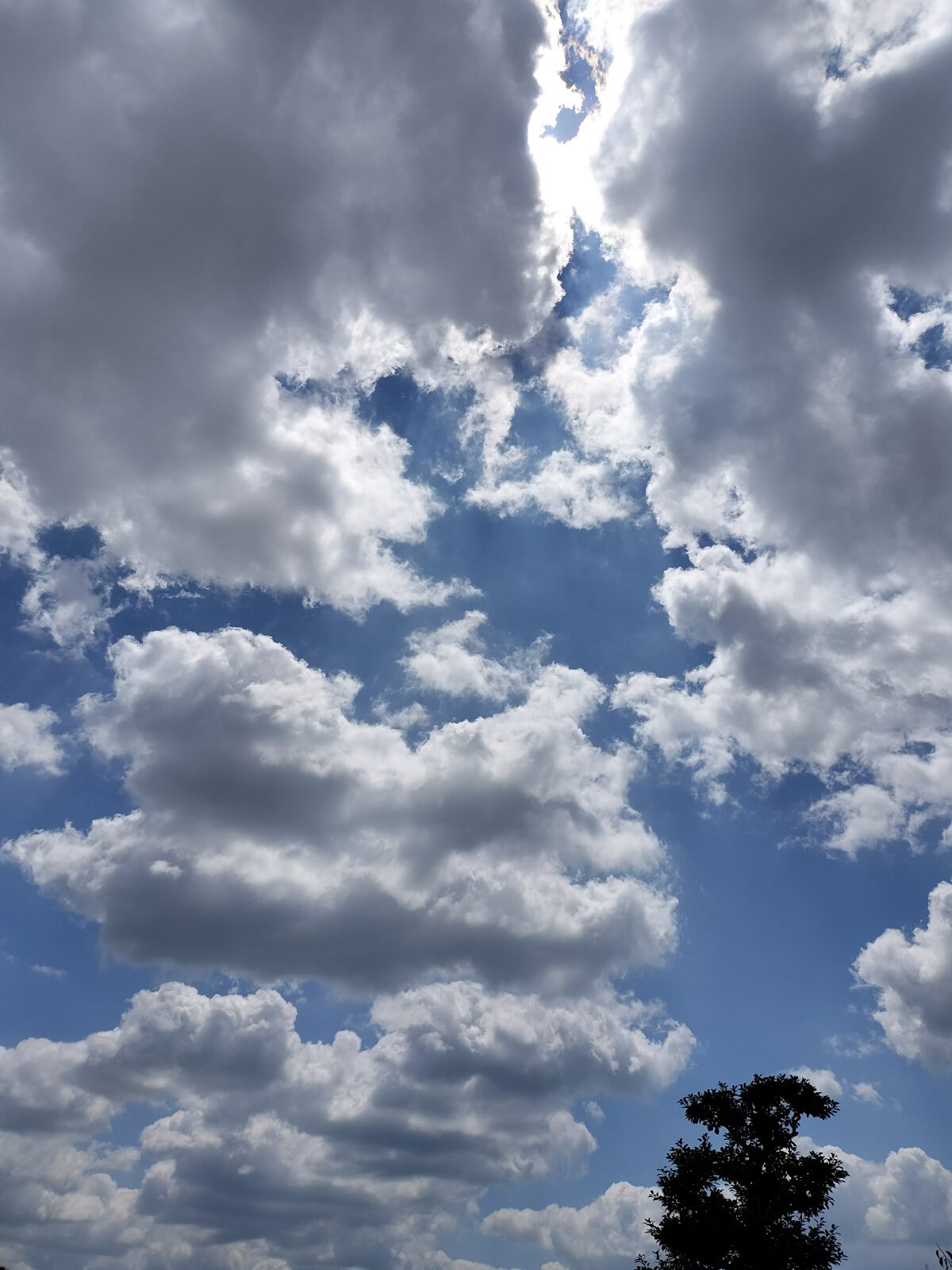 夏の雲 イラストのような夏の雲☁ . . #Xpro3 #夏休み #夏 #入道雲