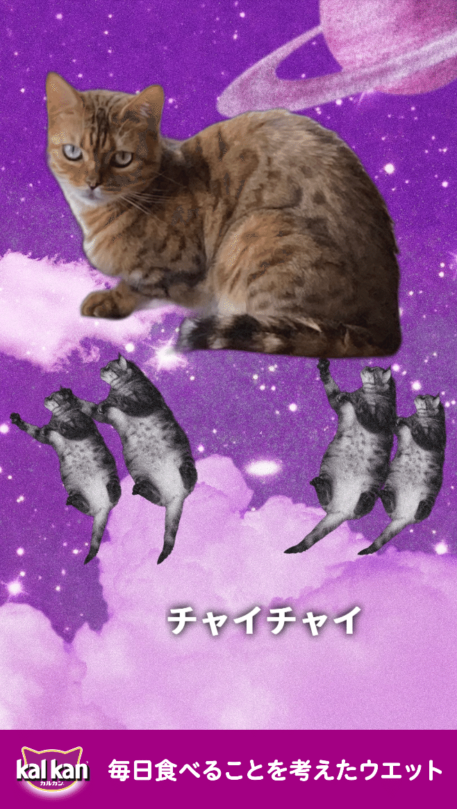 カルカン宇宙猫7匹集めて応募しました！1箱当たりますように！｜ペット