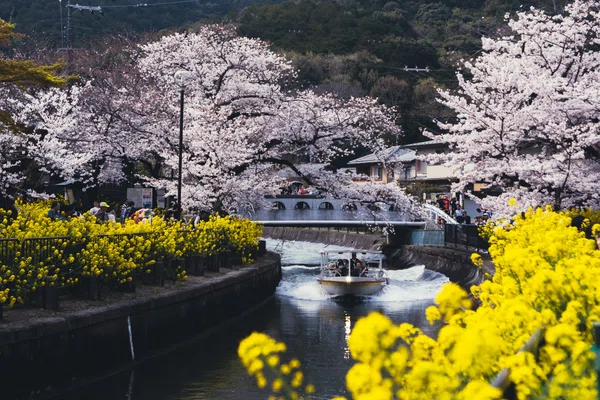 山科疏水の疎水船