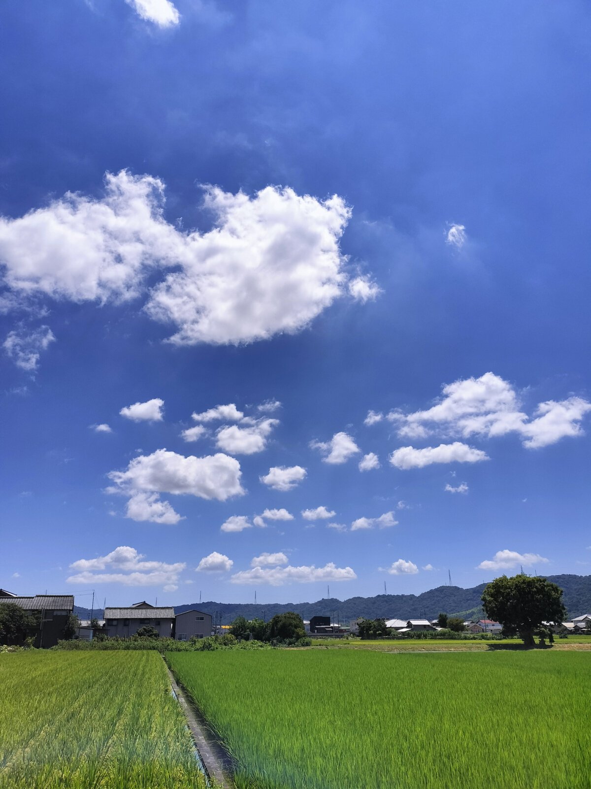 夏のオーガスト：8月の雲と、太陽が2つある星｜yoshino