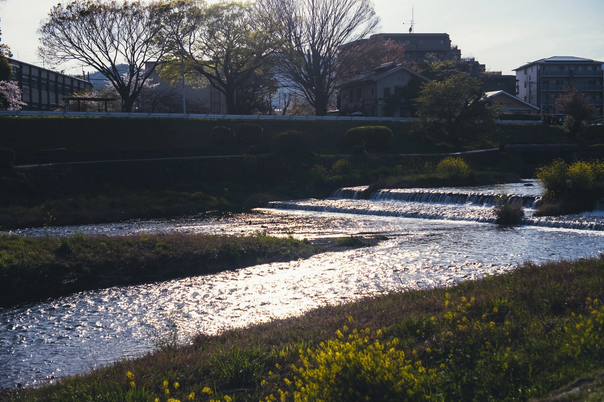 朝の鴨川