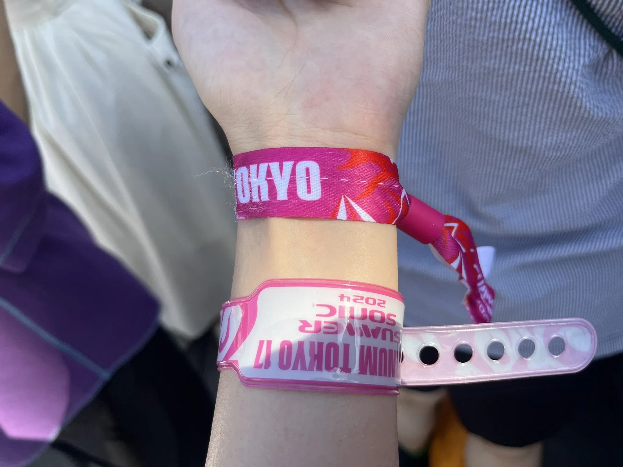 Summer Sonic 2024 サマソニ 2日通し券 リストバンド引き換え済 Summer Sonic 2024 サマソニ 2日通し券 リストバンド引き換え済