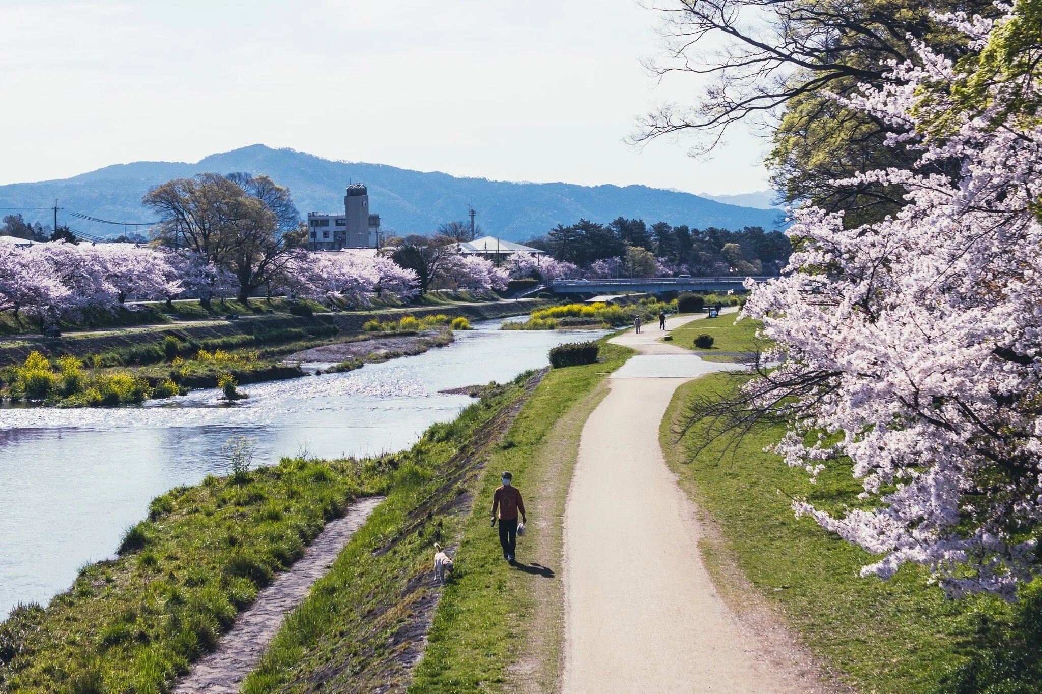 最新号：拡張された日常。春の京都で一週間