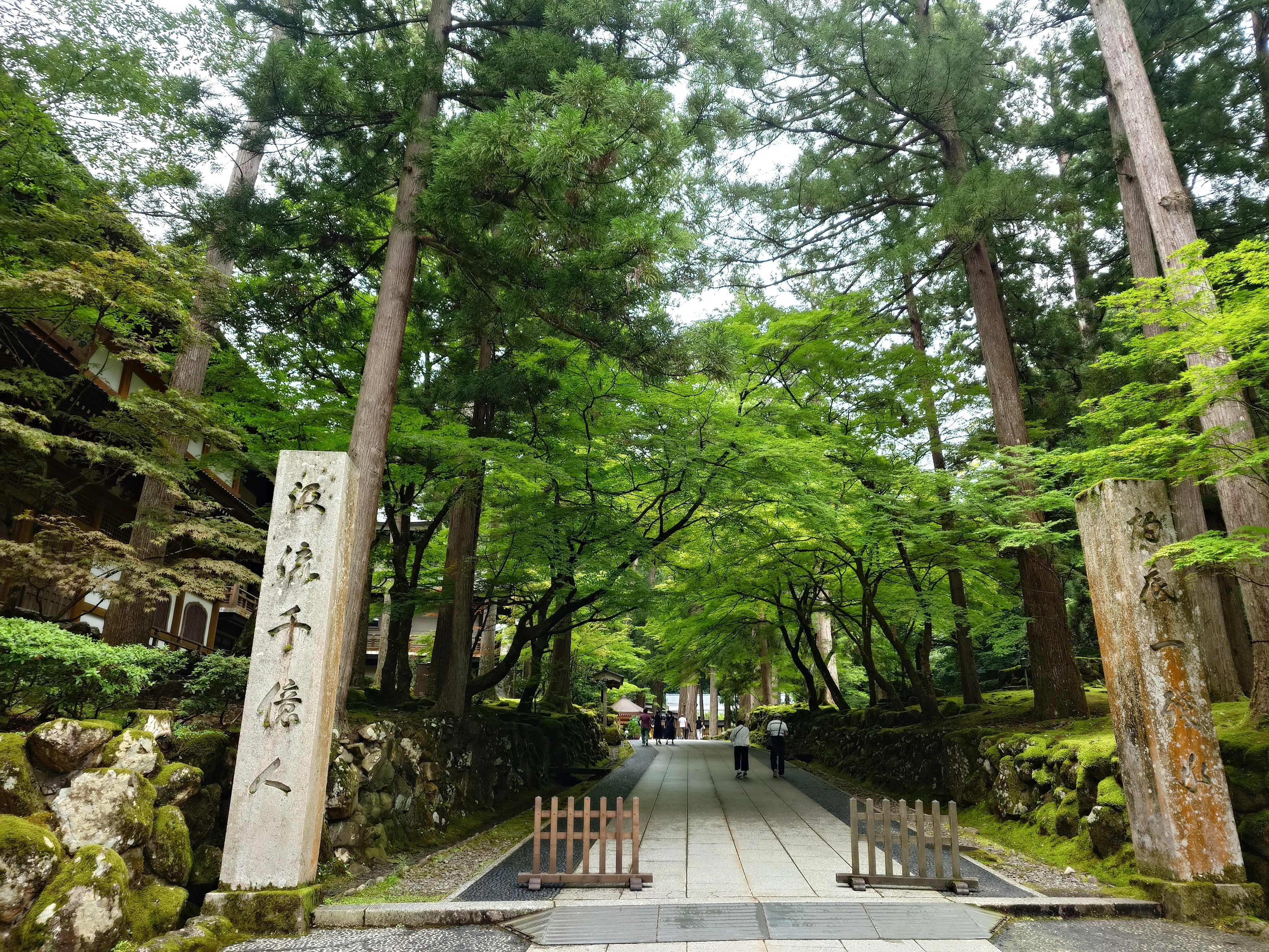 大本山永平寺の廊下に掲示されていた「仏心」｜志鷹英男（ShitakaHideo）