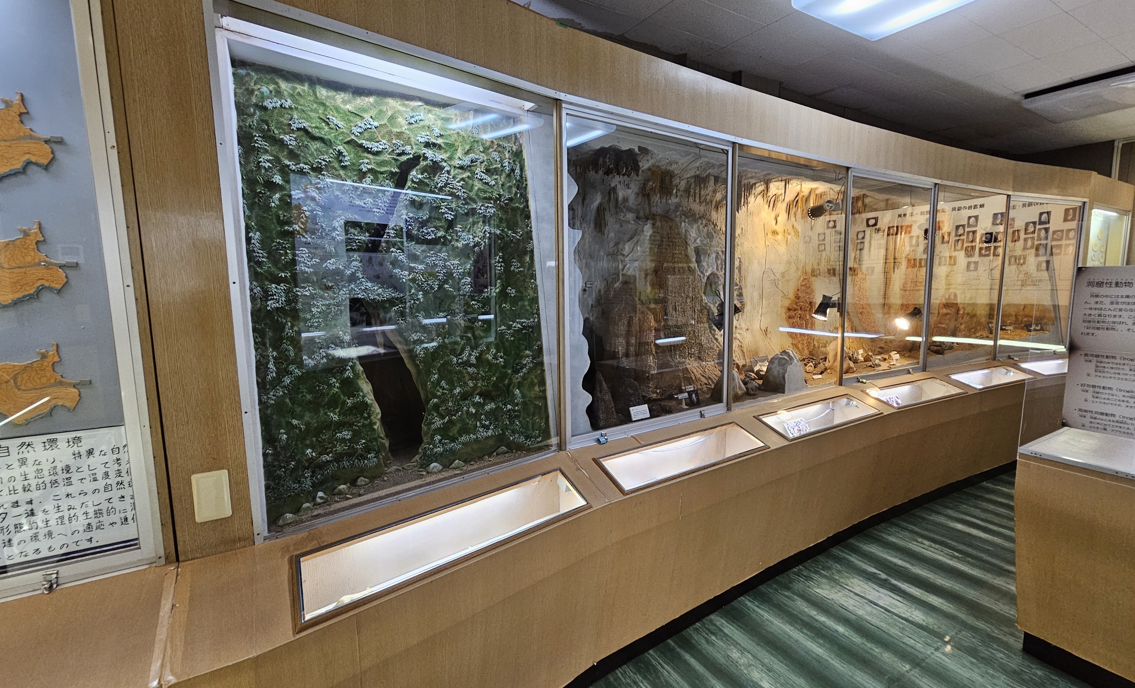 全国自然博物館の旅【43】美祢市立秋吉台科学博物館｜美原さつき