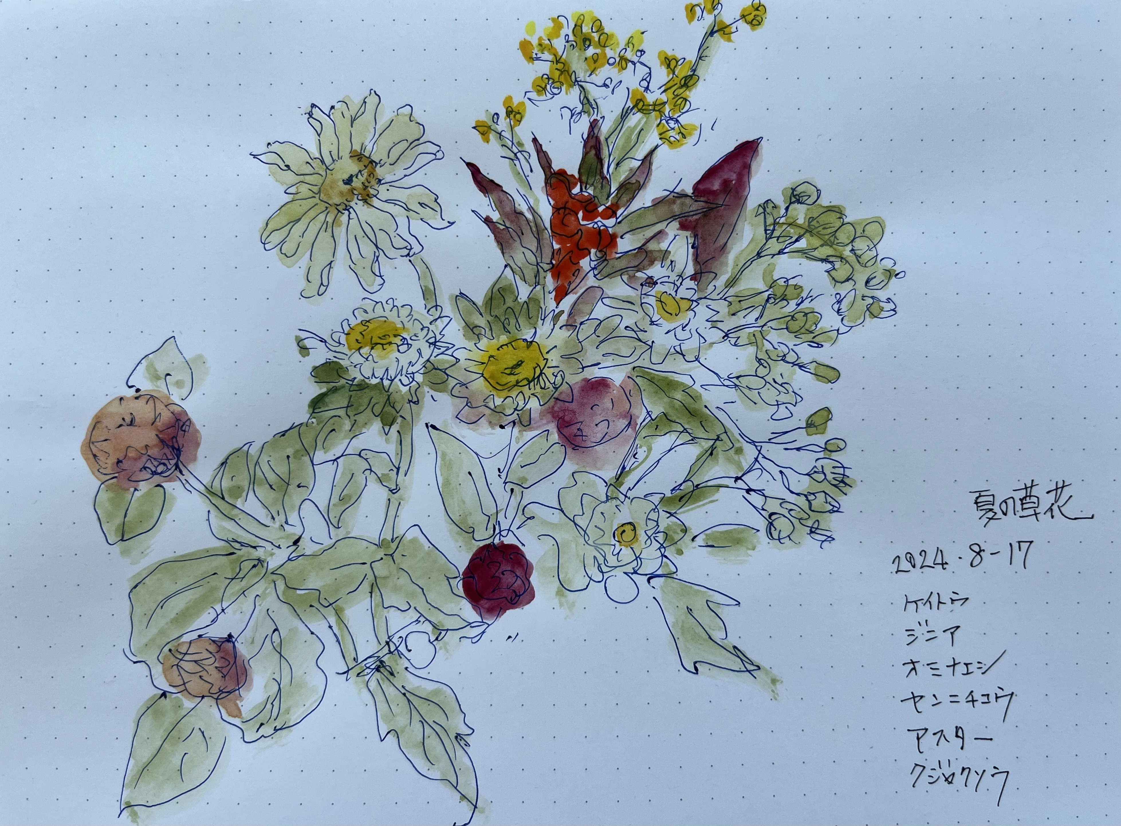 夏の花スケッチ｜toti