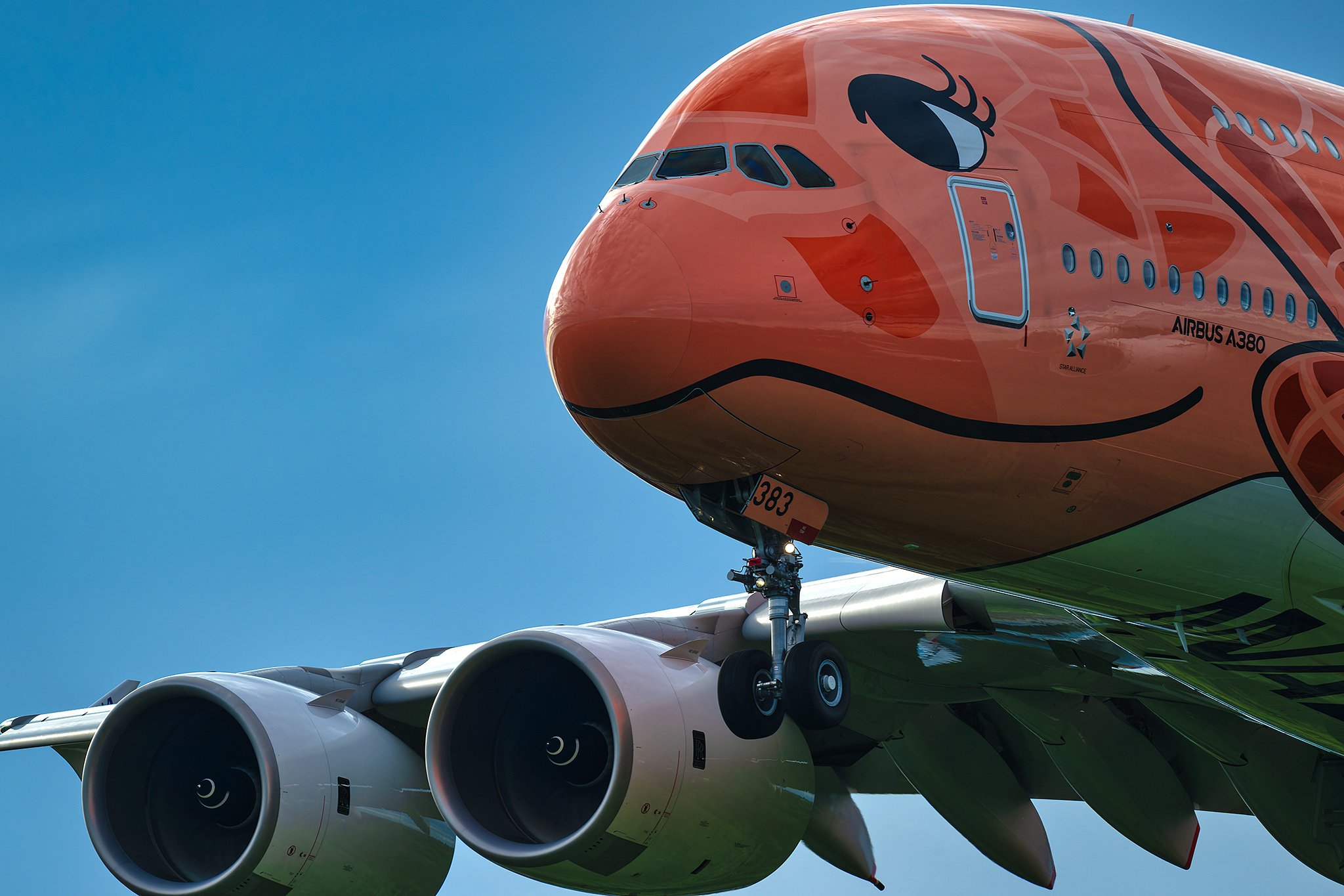 早朝の成田にて｜ただのフォトグラファーでは終わらない | 航空写真家