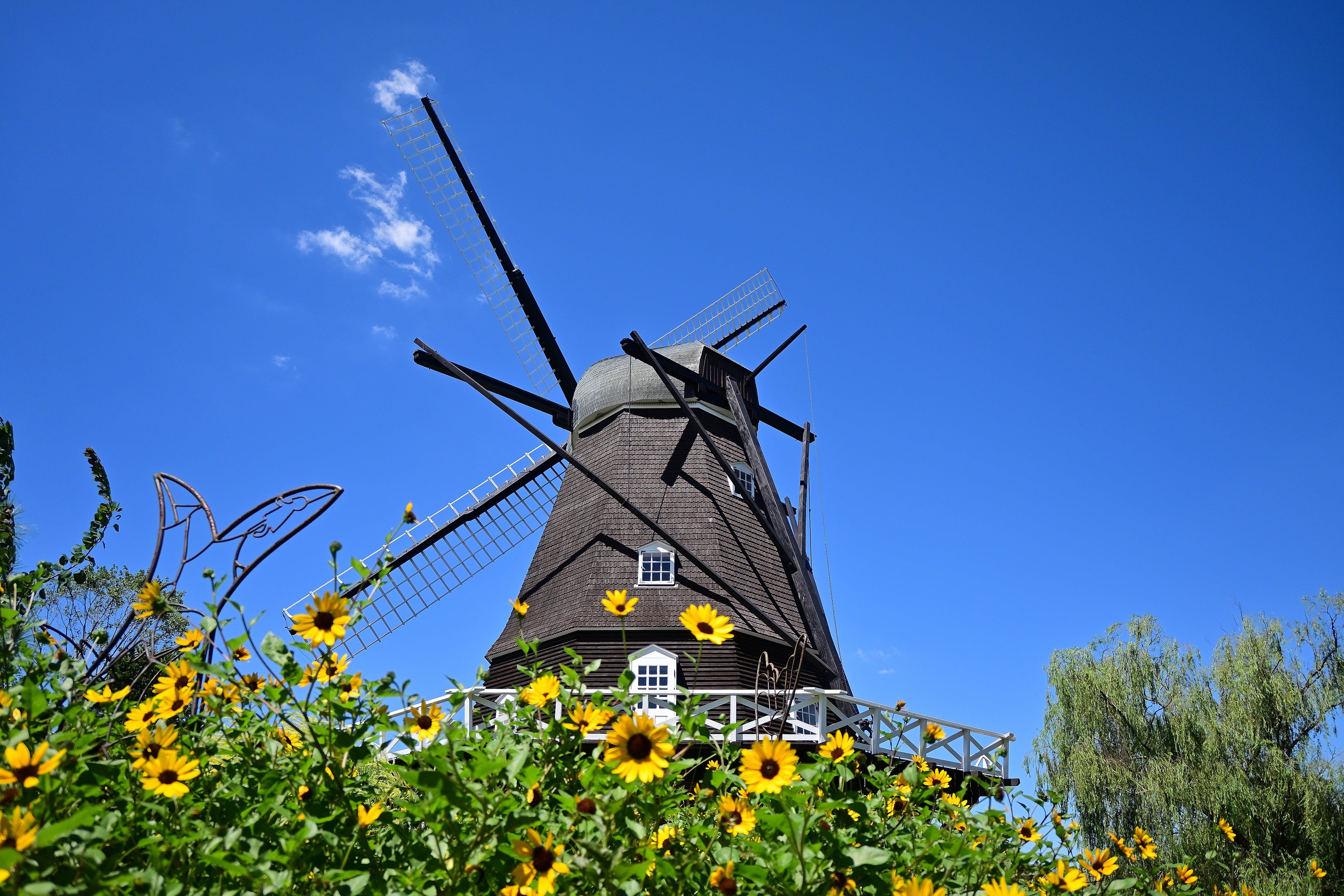 背中で語る風車 #夏の1コマ｜Mits Kaneko