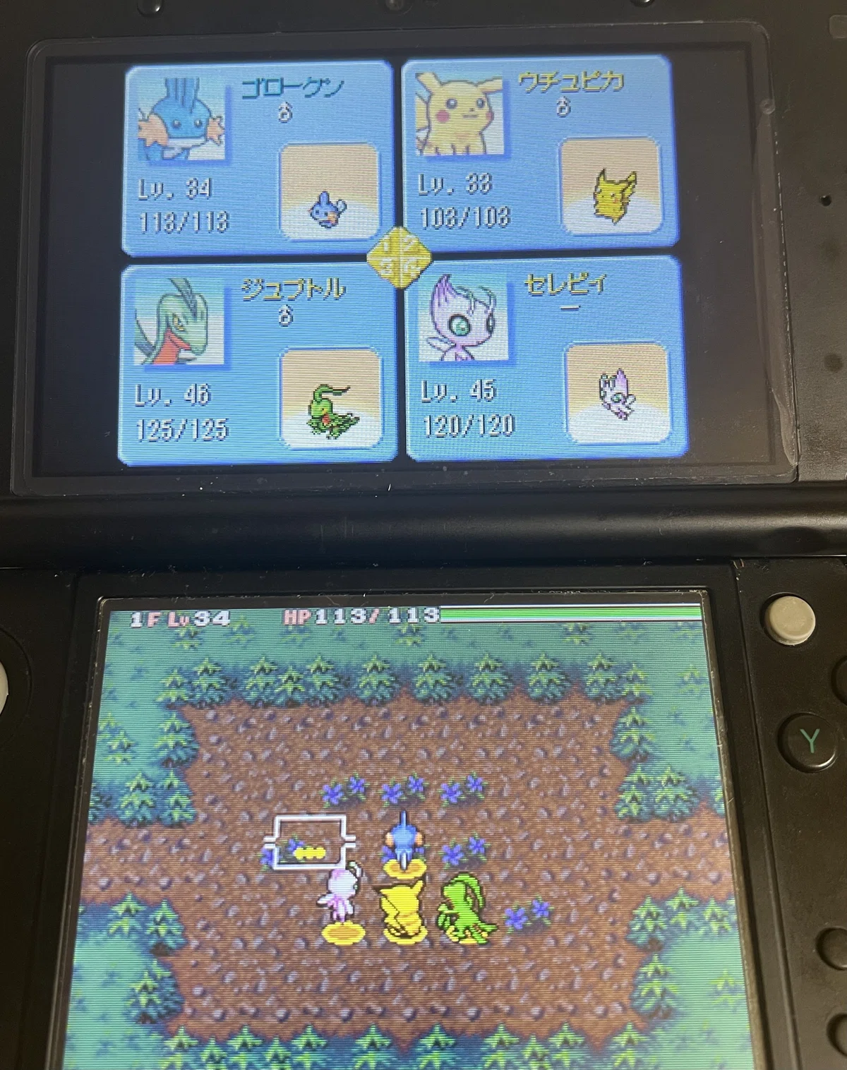 Chatot Spell The Story of Clearing Explorers of Sky|鹿野宮雨音