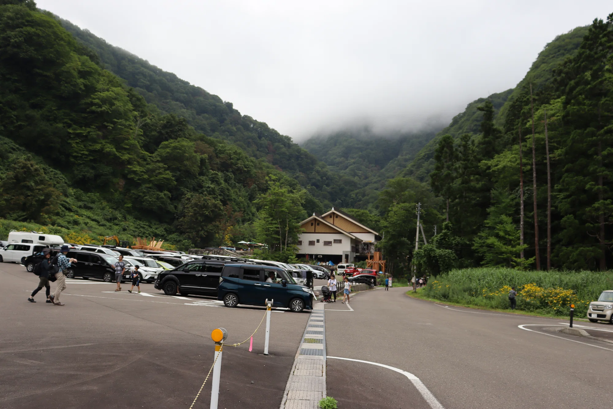 活動歴および当時の関連ビジュアル記録