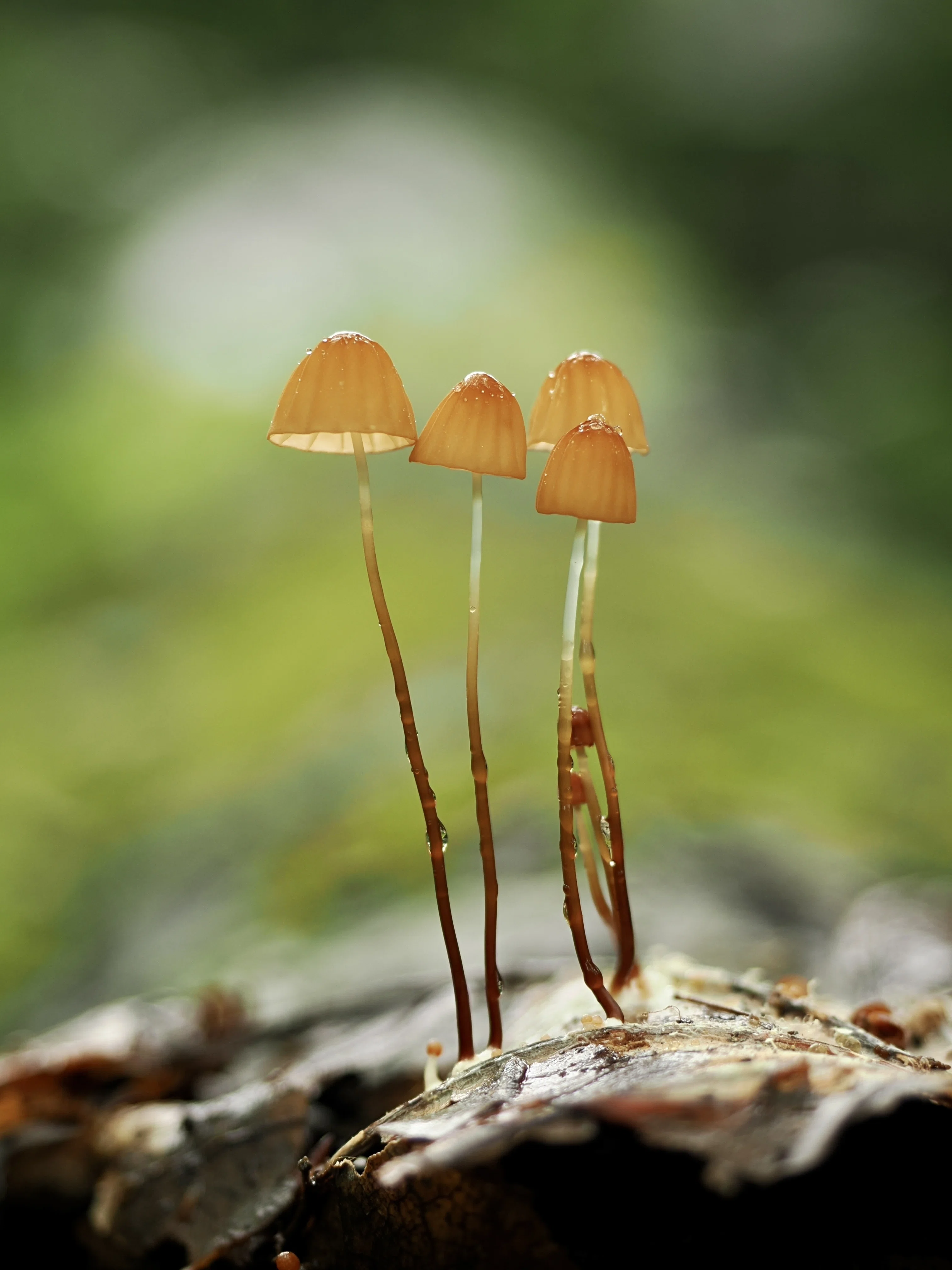 1723966168996-M0gibC1kWt.jpg