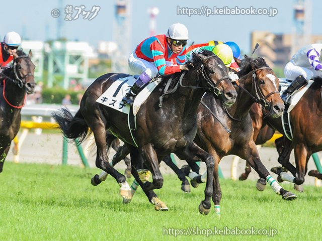 キズナ産駒に学ぶ世界の「キズナ」｜競馬ブック