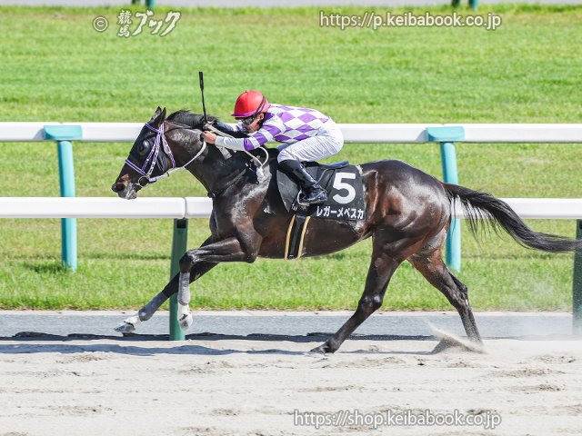 キズナ　馬の毛　たてがみ キズナ 馬の毛 たてがみ キズナ 馬の毛 たてがみ キズナ (Kizuna
