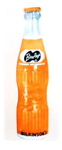 グルメ日記⑤【IJOOZ オレンジジュース】｜Hiro／AIに取り組む66歳