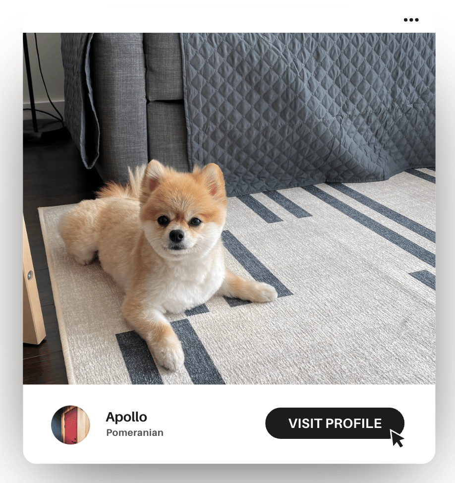 10) ペット(犬🐕)をカナダ🇨🇦へ連れていく！｜YMA | CANADA🇨🇦日記