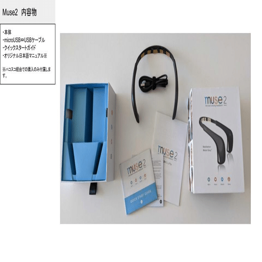 Part1】どの脳波デバイスを買うべき？一年間使用した経験をもとに徹底